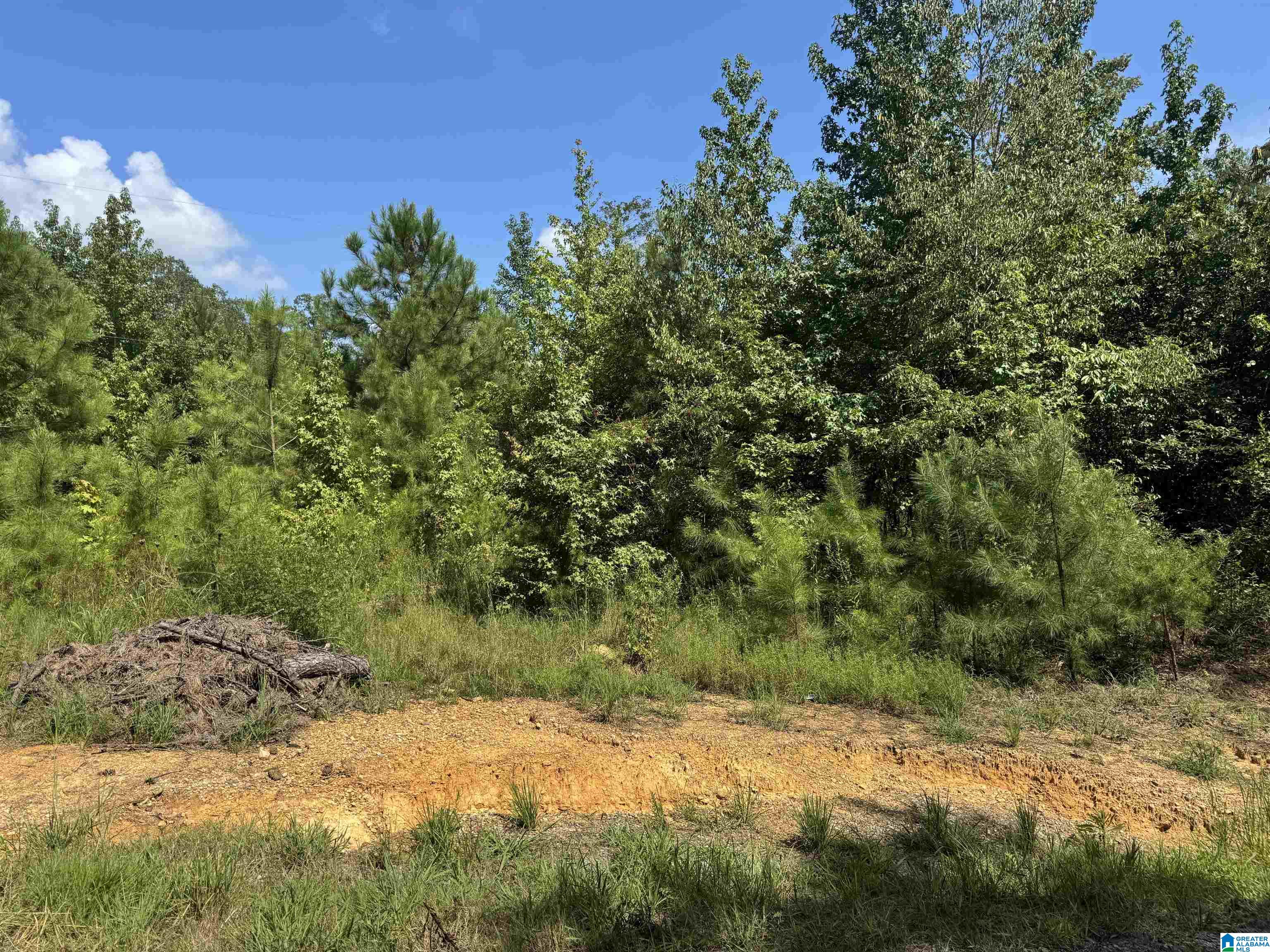 Short Town Road, Unit 123 West Blocton, AL 35184 - Photo 4 of 5