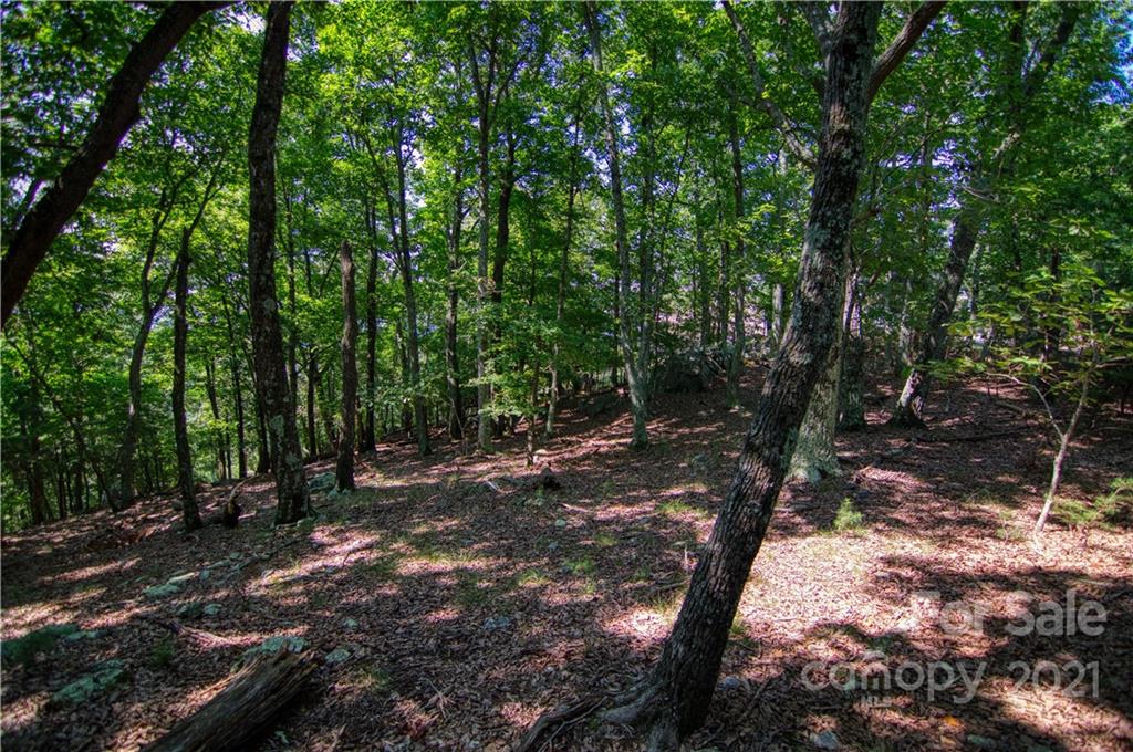 970 Sierra Trace Road, Unit 127 Denton, NC 27239 - Photo 11 of 33 Gallery Image 11