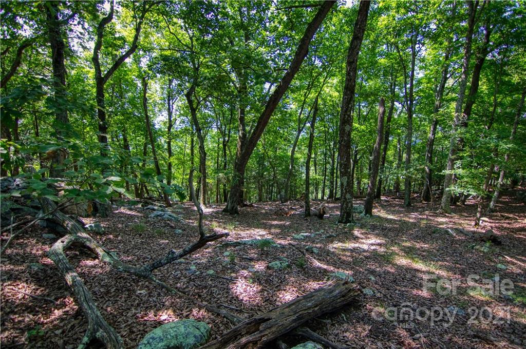 970 Sierra Trace Road, Unit 127 Denton, NC 27239 - Photo 12 of 33 Gallery Image 12