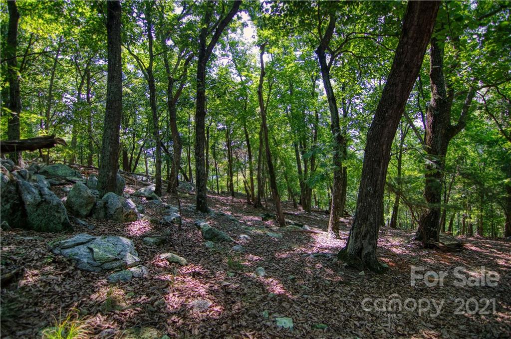 970 Sierra Trace Road, Unit 127 Denton, NC 27239 - Photo 13 of 33 Gallery Image 13