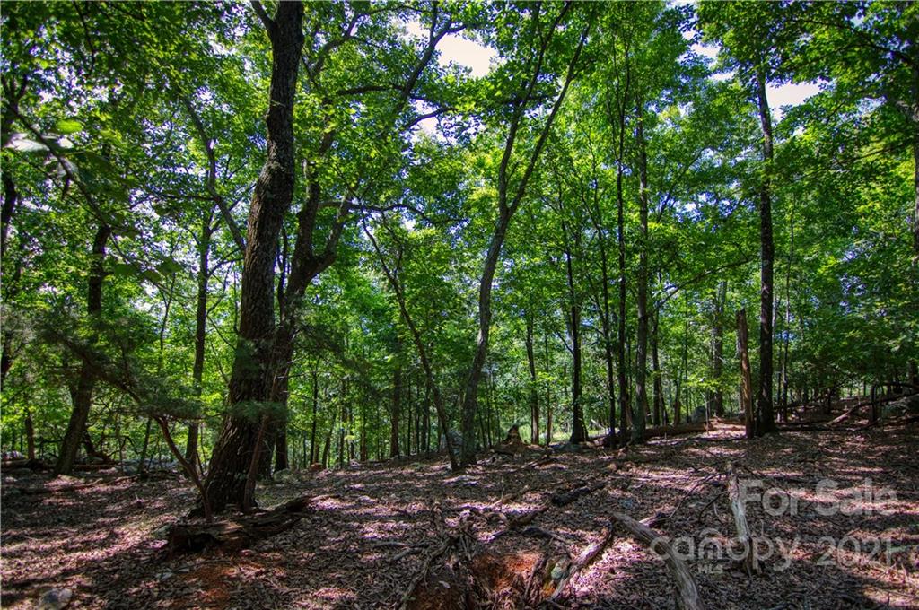 970 Sierra Trace Road, Unit 127 Denton, NC 27239 - Photo 14 of 33 Gallery Image 14