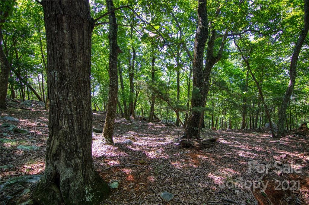 970 Sierra Trace Road, Unit 127 Denton, NC 27239 - Photo 15 of 33 Gallery Image 15