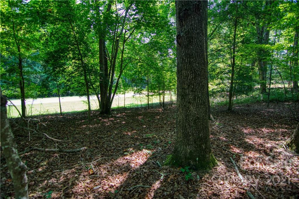 970 Sierra Trace Road, Unit 127 Denton, NC 27239 - Photo 16 of 33 Gallery Image 16