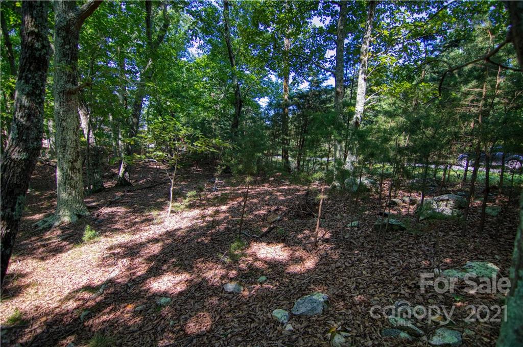 970 Sierra Trace Road, Unit 127 Denton, NC 27239 - Photo 10 of 33 Gallery Image 10