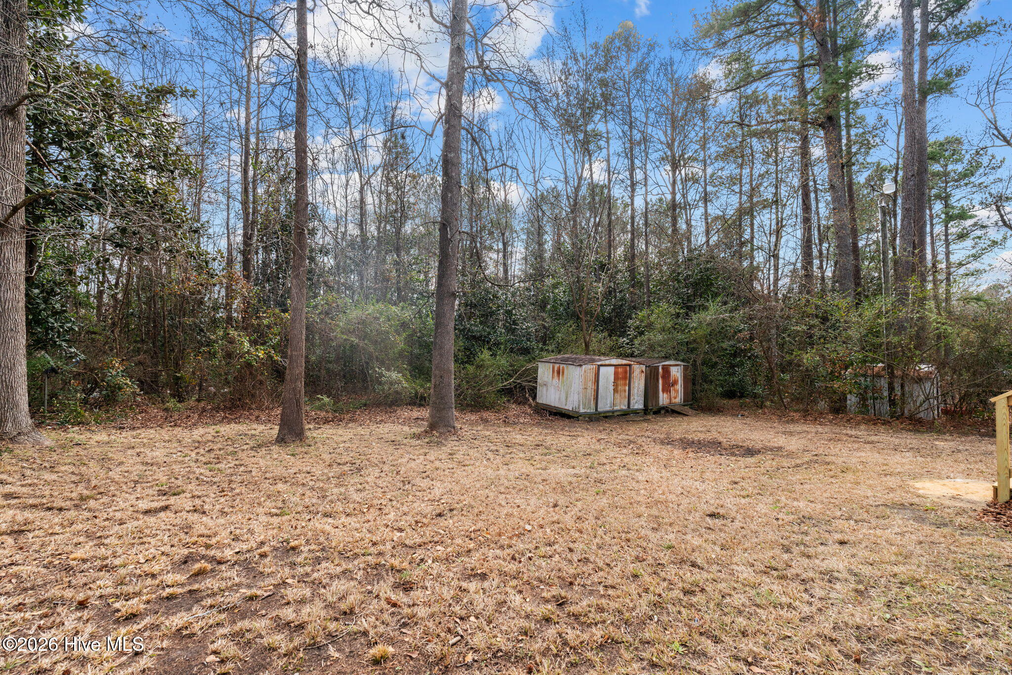 431 Smith Street Vass, NC 28394 - Photo 28 of 40 36-web-or-mls-DSC03481