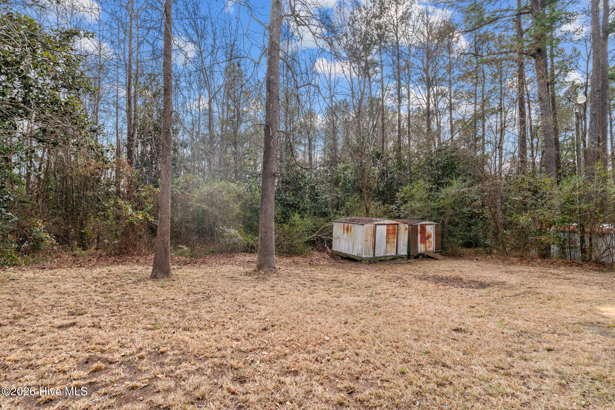431 Smith Street Vass, NC 28394 - Photo 29 of 40 37-web-or-mls-DSC03482
