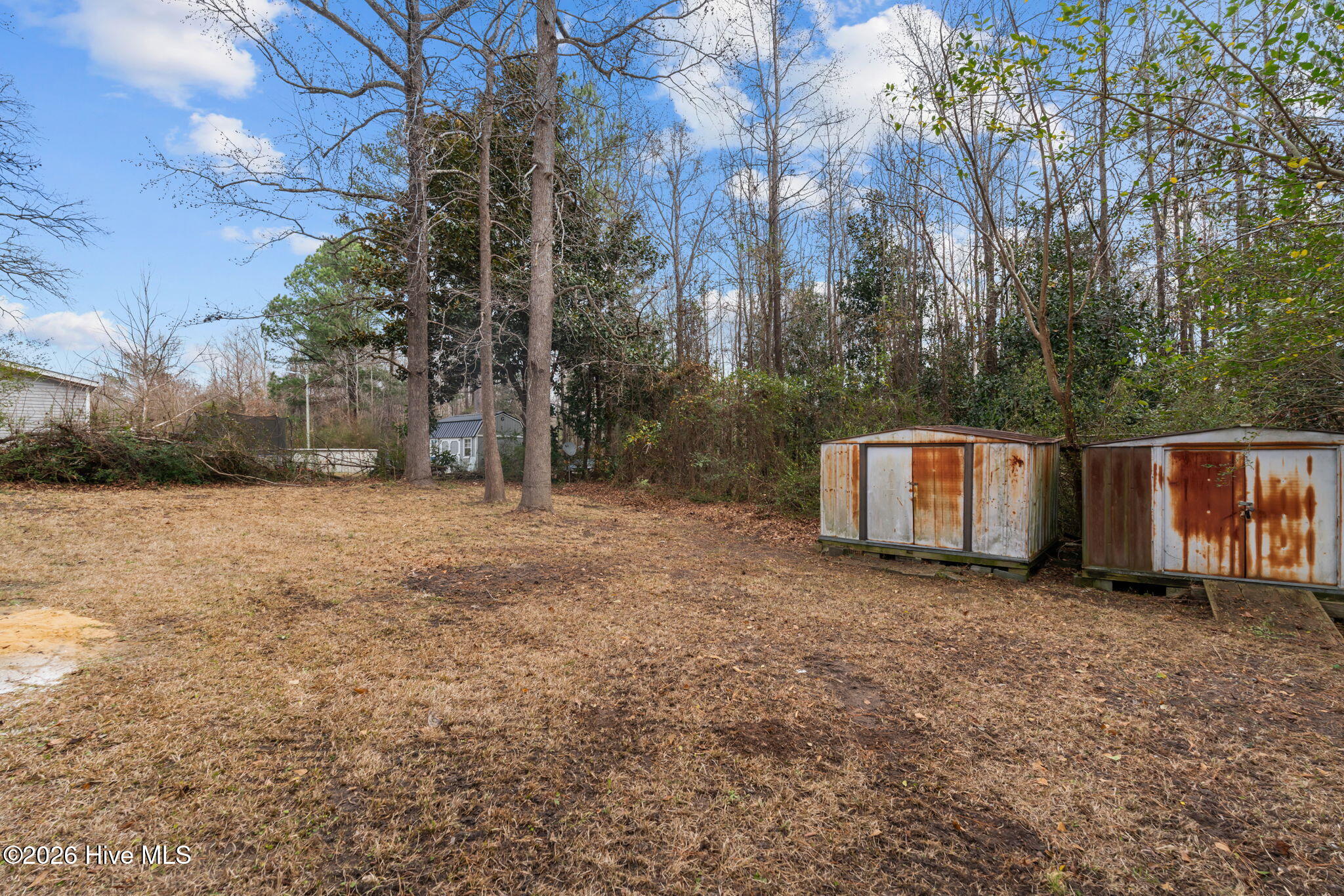 431 Smith Street Vass, NC 28394 - Photo 38 of 40 46-web-or-mls-DSC03548