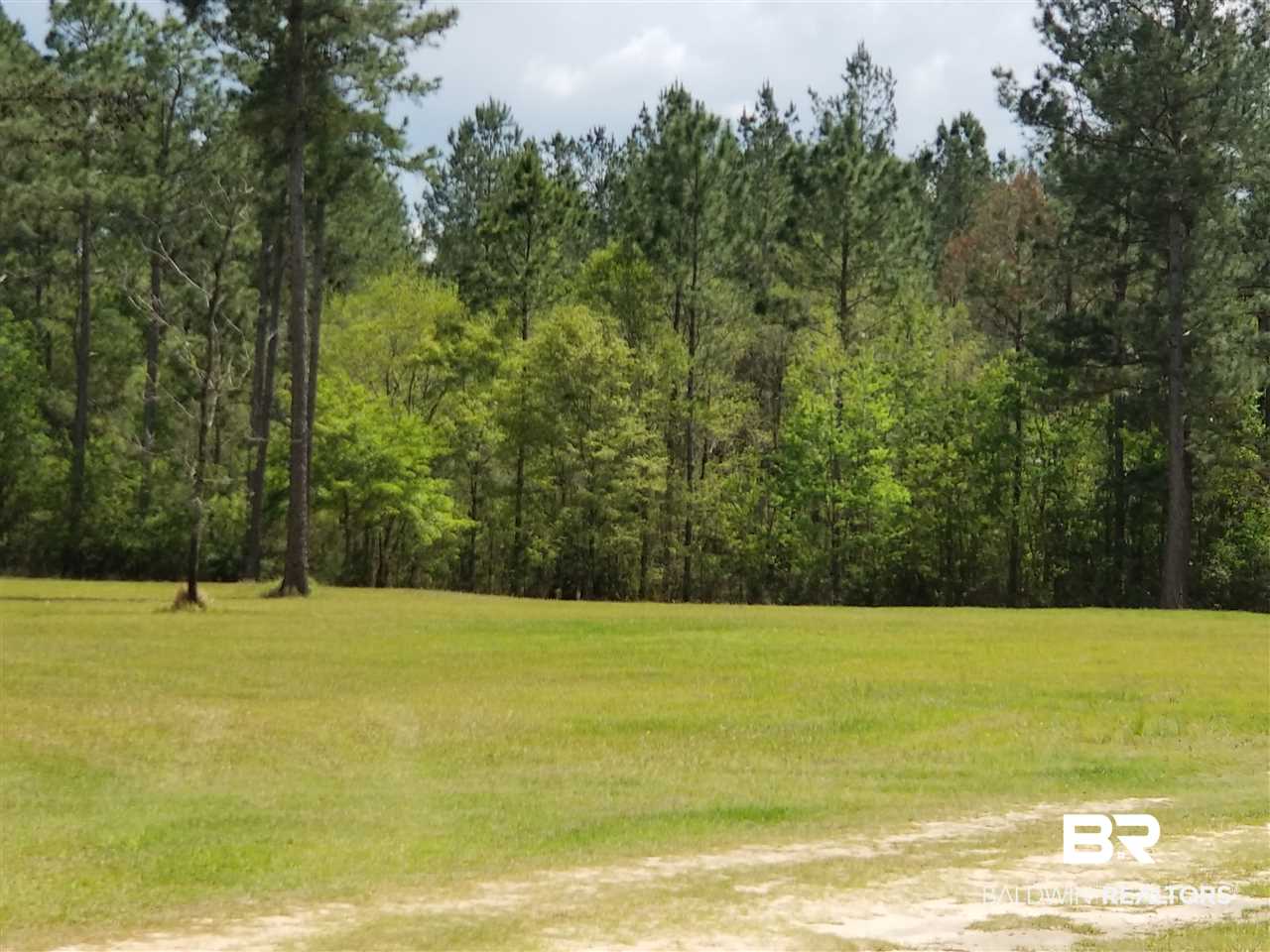 21850 Old Brady Road Robertsdale, AL 36567 - Photo 3 of 21