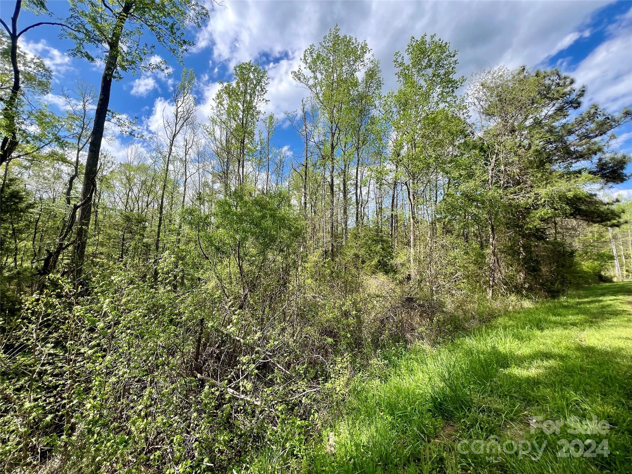 2 Pineview Ct Lane, Unit 58 Lancaster, SC 29720 - Photo 1 of 9 a view of a yard with plants