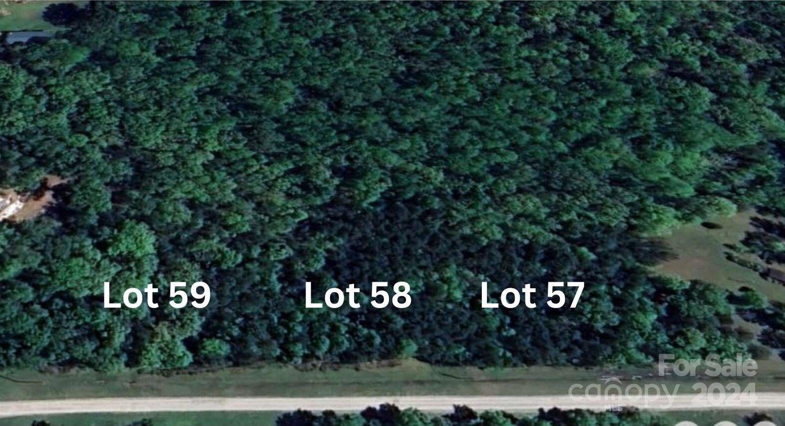 2 Pineview Ct Lane, Unit 58 Lancaster, SC 29720 - Photo 2 of 9 a street view with tall trees