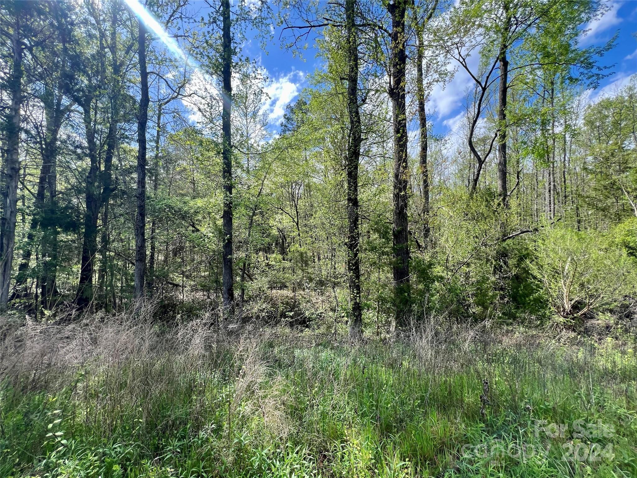 2 Pineview Ct Lane, Unit 58 Lancaster, SC 29720 - Photo 3 of 9 a view of a forest with trees