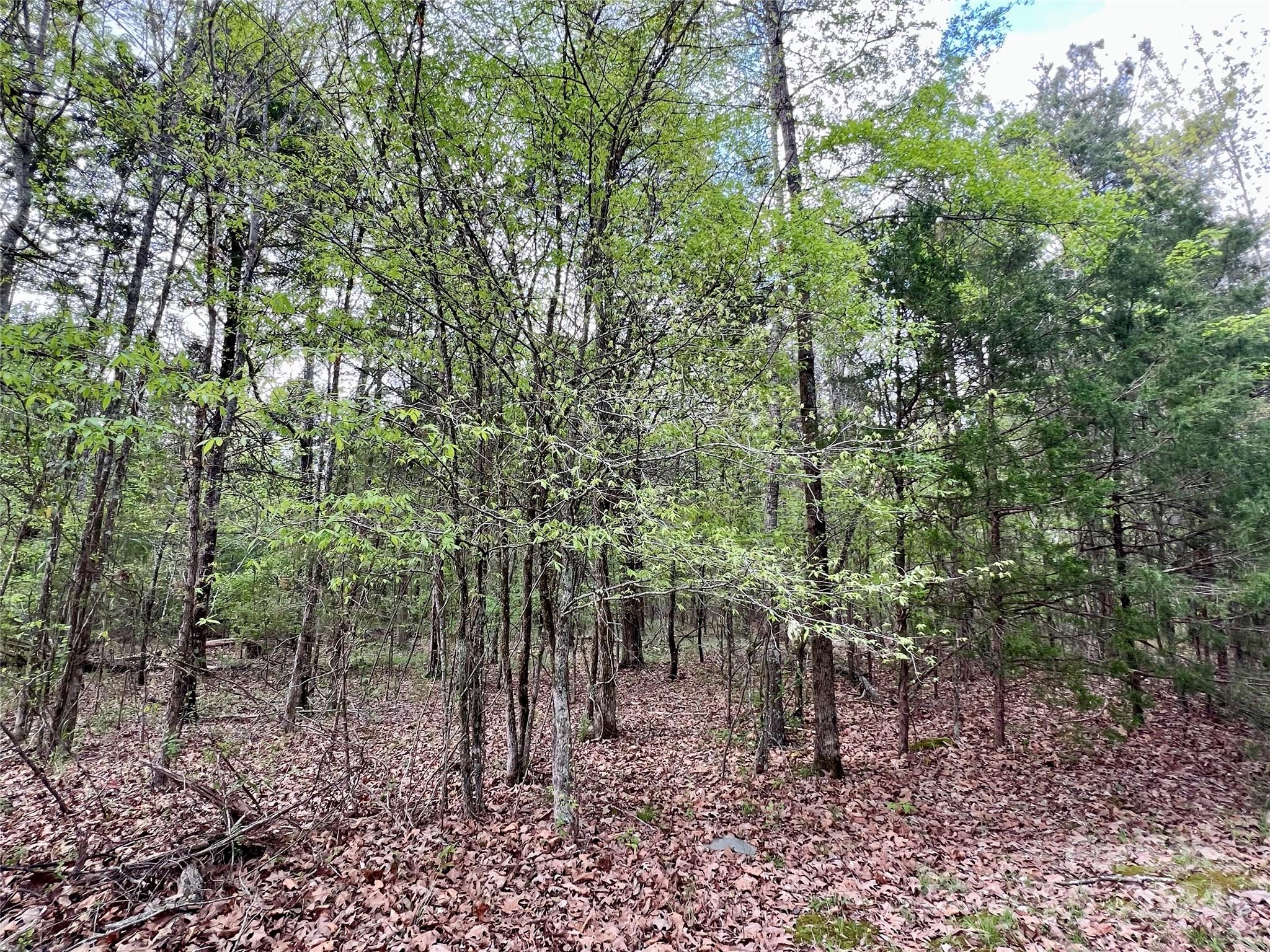 2 Pineview Ct Lane, Unit 58 Lancaster, SC 29720 - Photo 4 of 9