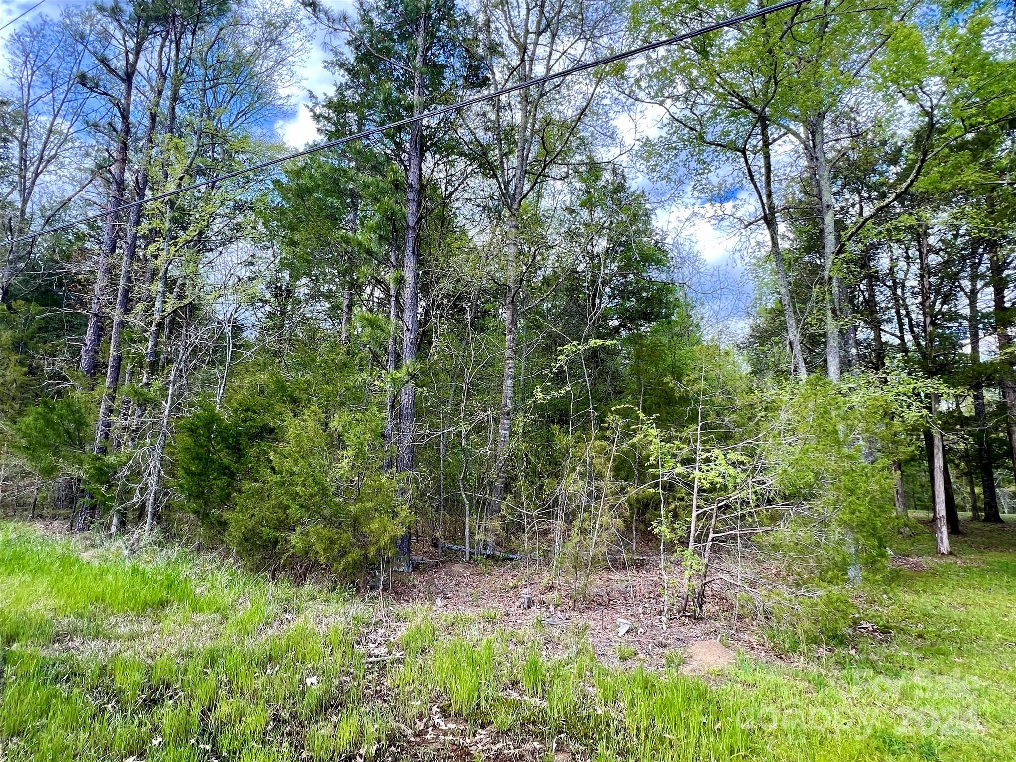 2 Pineview Ct Lane, Unit 58 Lancaster, SC 29720 - Photo 5 of 9 a view of a lush green forest