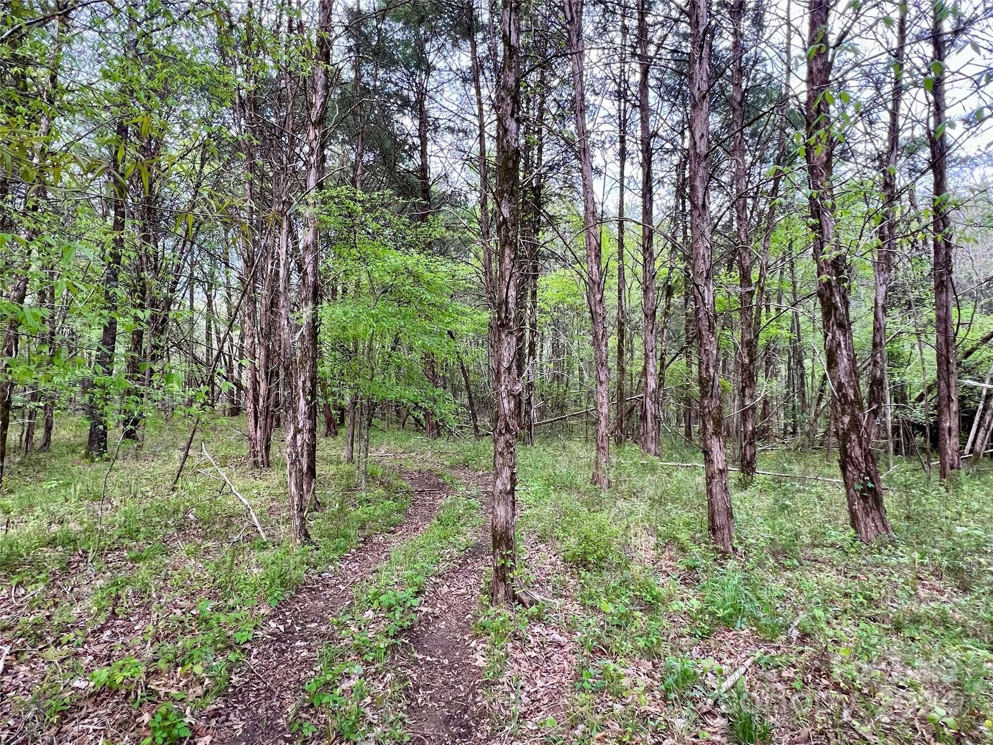 2 Pineview Ct Lane, Unit 58 Lancaster, SC 29720 - Photo 6 of 9 a view of outdoor space and green space