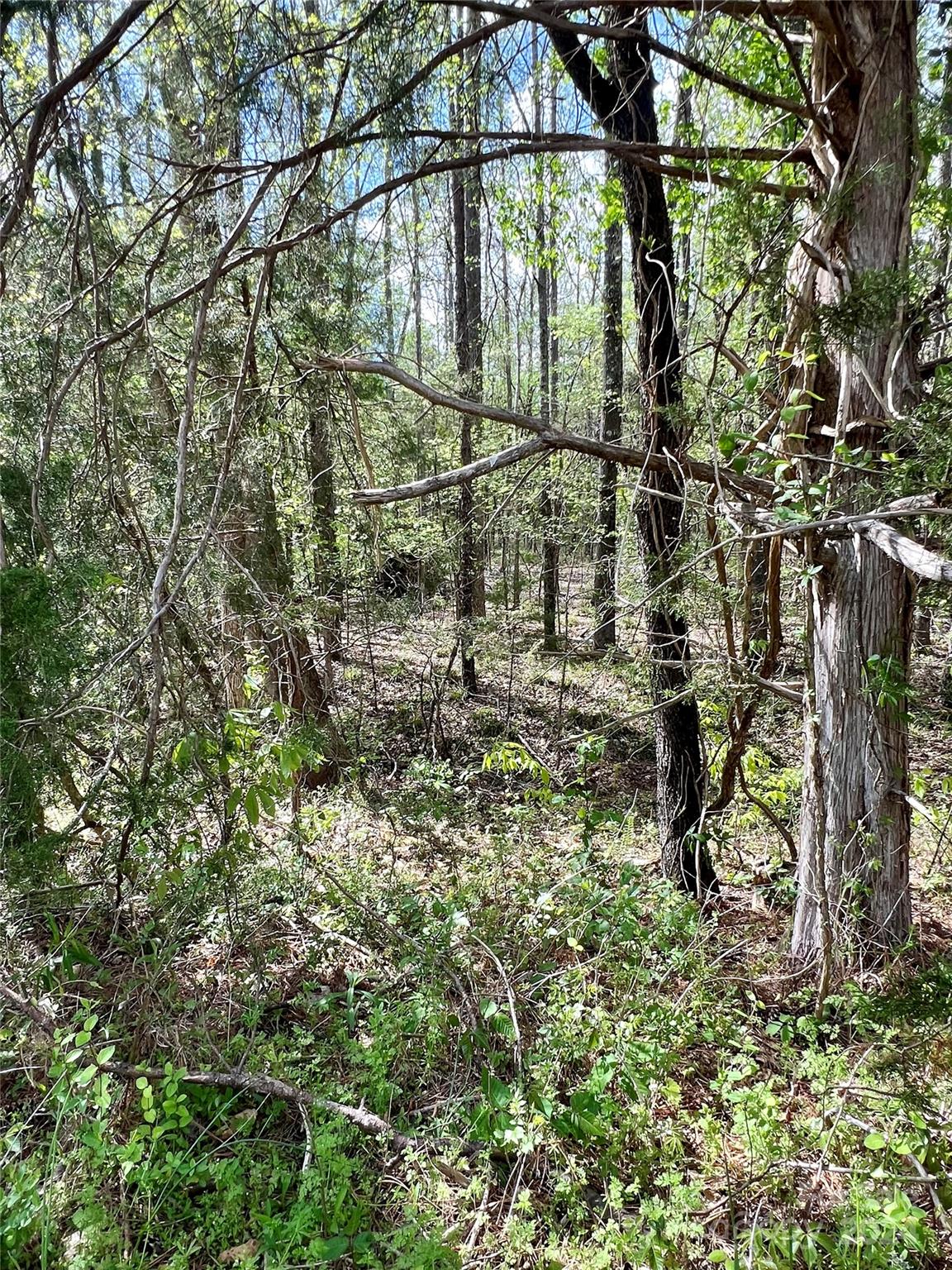 2 Pineview Ct Lane, Unit 58 Lancaster, SC 29720 - Photo 7 of 9 a backyard of a house with lots of green space