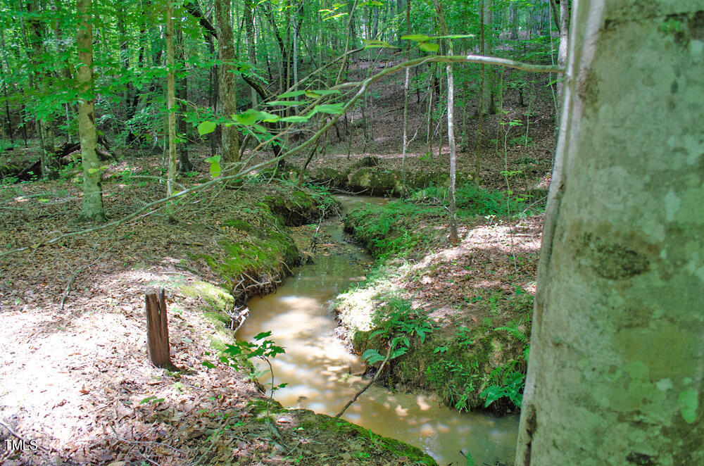 0 Range Road Stem, NC 27581 - Photo 35 of 35 DSC_0063
