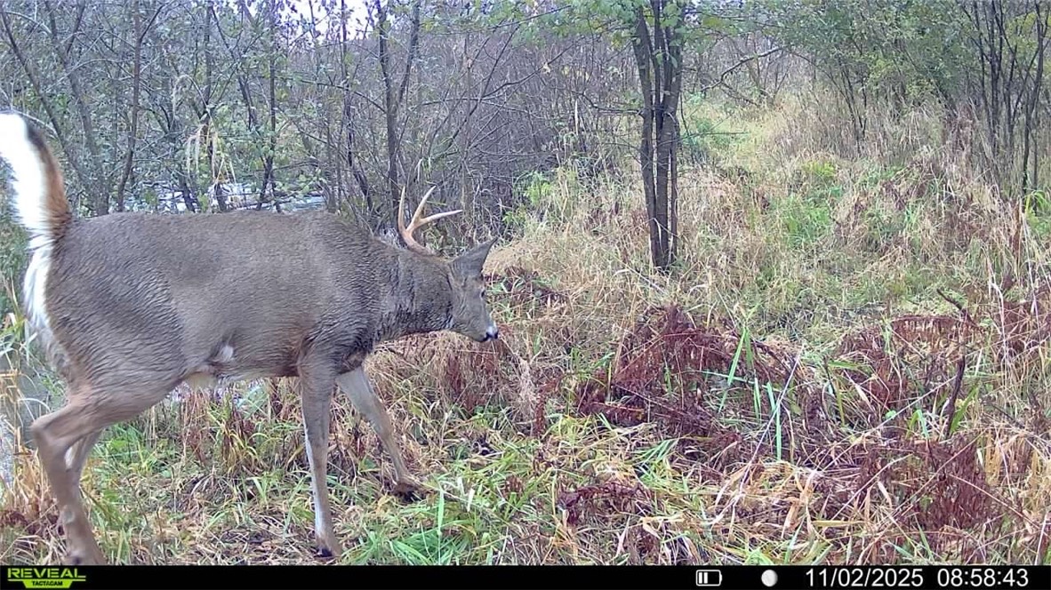 0 South Lowes Creek Road Eau Claire, WI 54701 - Photo 3 of 59
