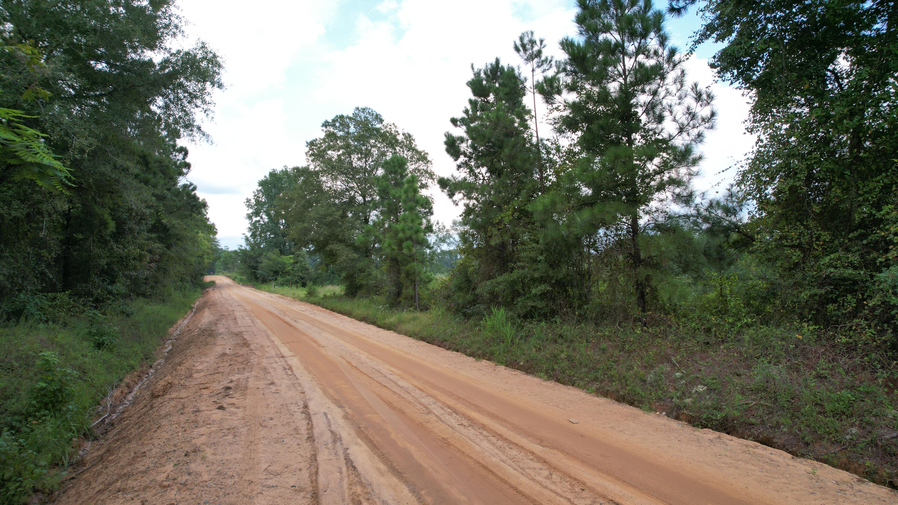 0 Hannah Road Chester, GA 31012 - Photo 11 of 59 DJI_0732