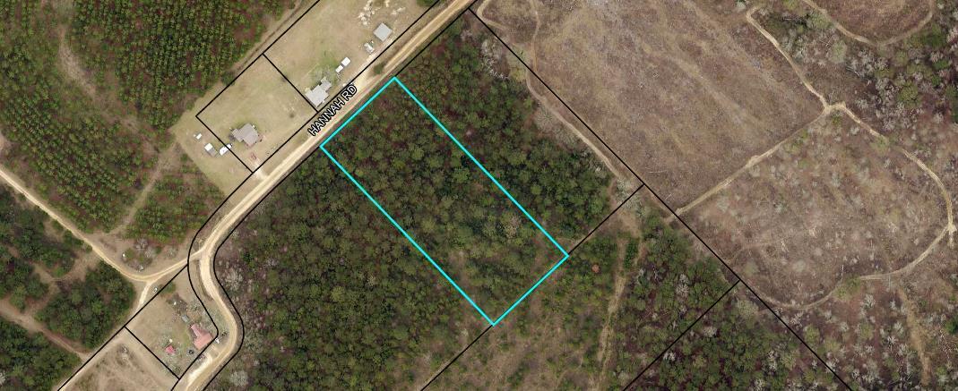 0 Hannah Road Chester, GA 31012 - Photo 12 of 59 Aerial