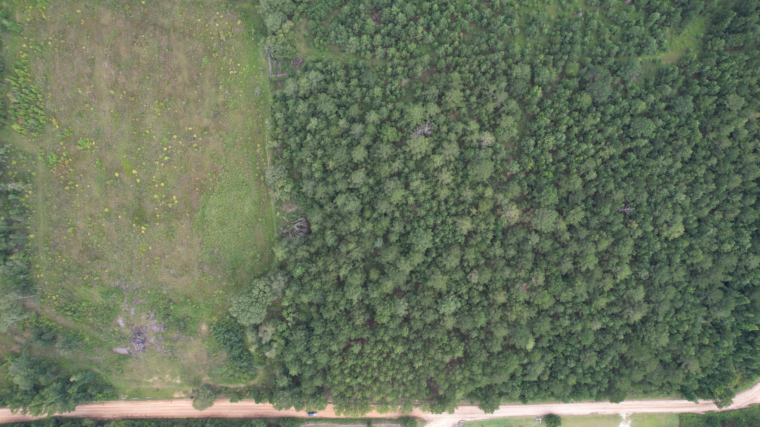 0 Hannah Road Chester, GA 31012 - Photo 24 of 59 DJI_0707