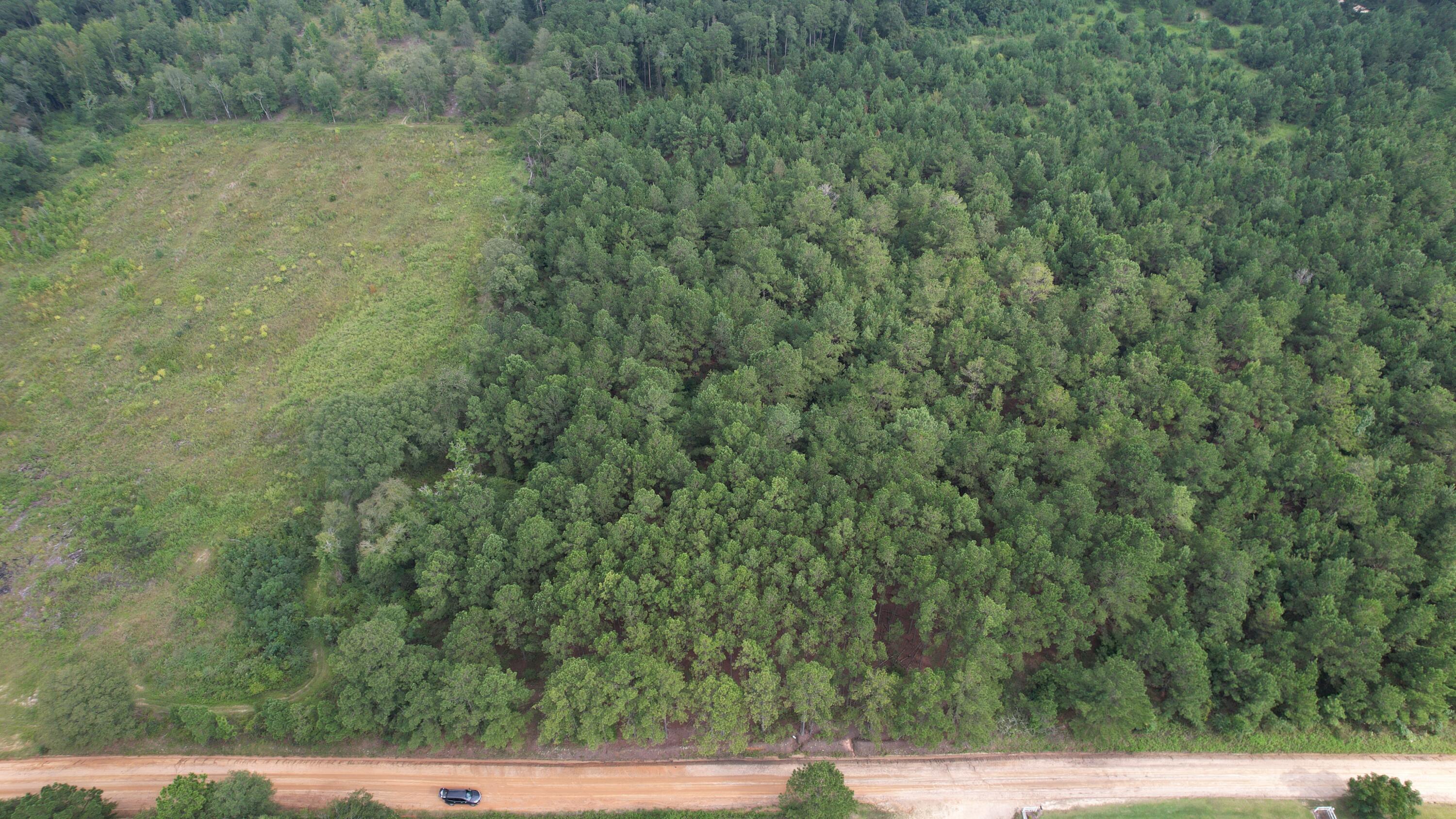 0 Hannah Road Chester, GA 31012 - Photo 25 of 59 DJI_0708