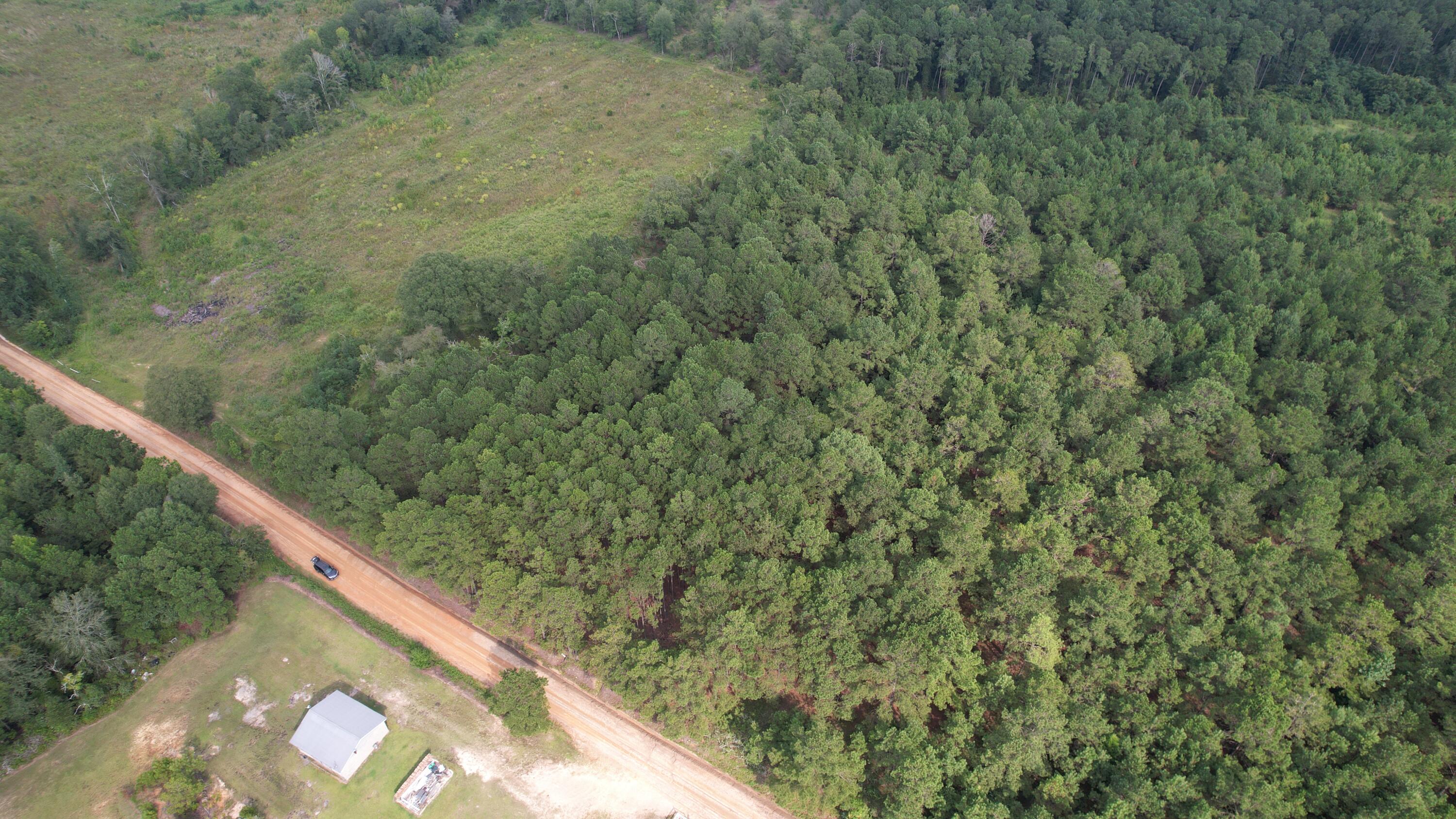 0 Hannah Road Chester, GA 31012 - Photo 26 of 59 DJI_0709