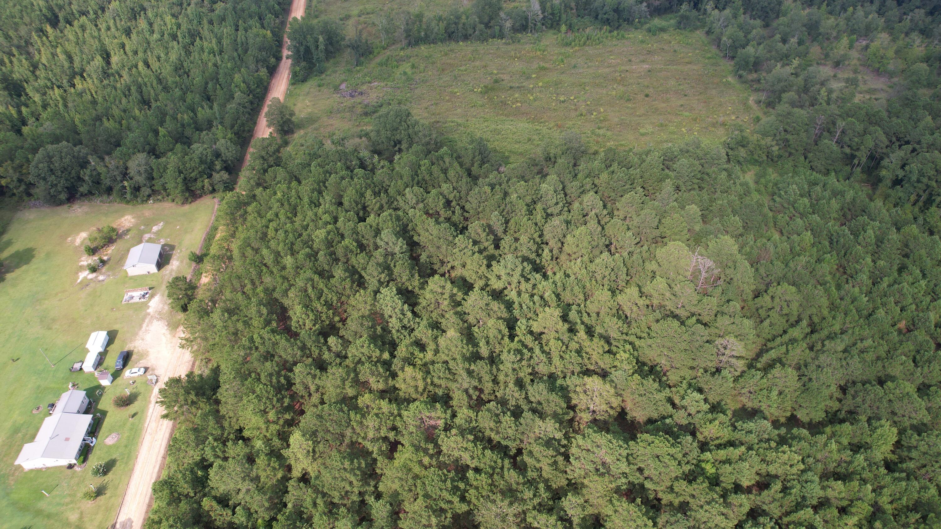 0 Hannah Road Chester, GA 31012 - Photo 27 of 59 DJI_0710
