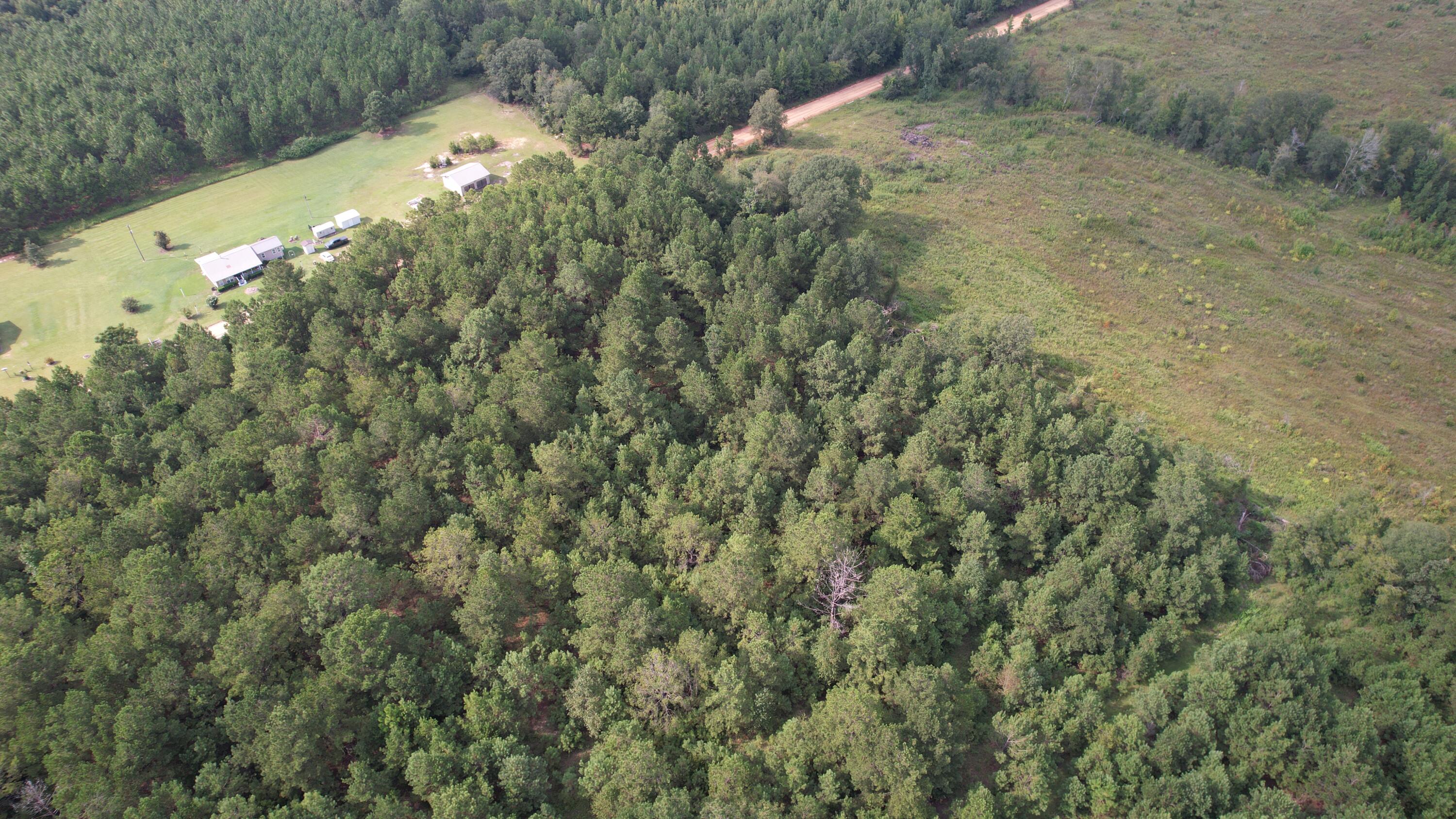 0 Hannah Road Chester, GA 31012 - Photo 28 of 59 DJI_0711