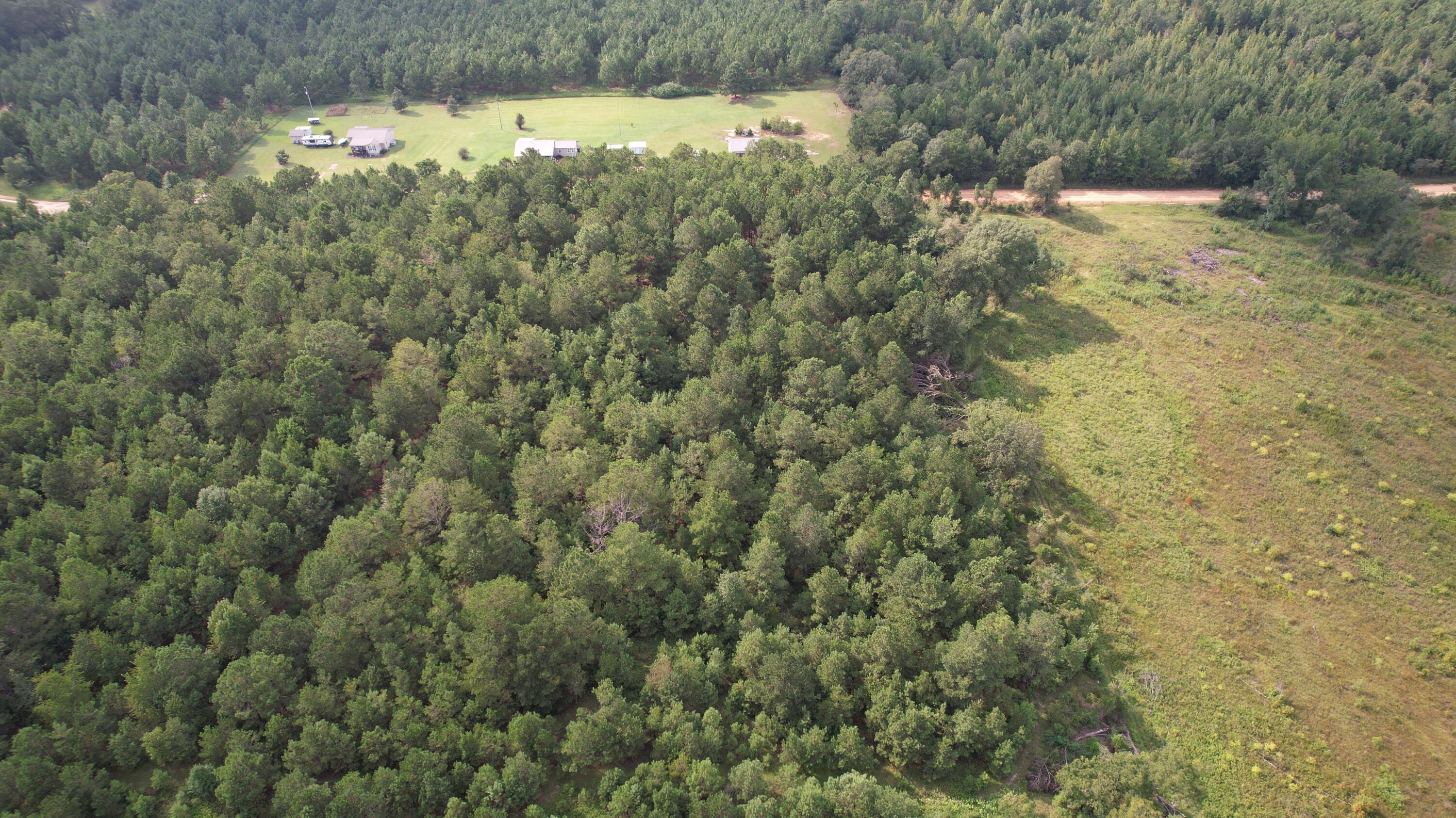 0 Hannah Road Chester, GA 31012 - Photo 29 of 59 DJI_0712