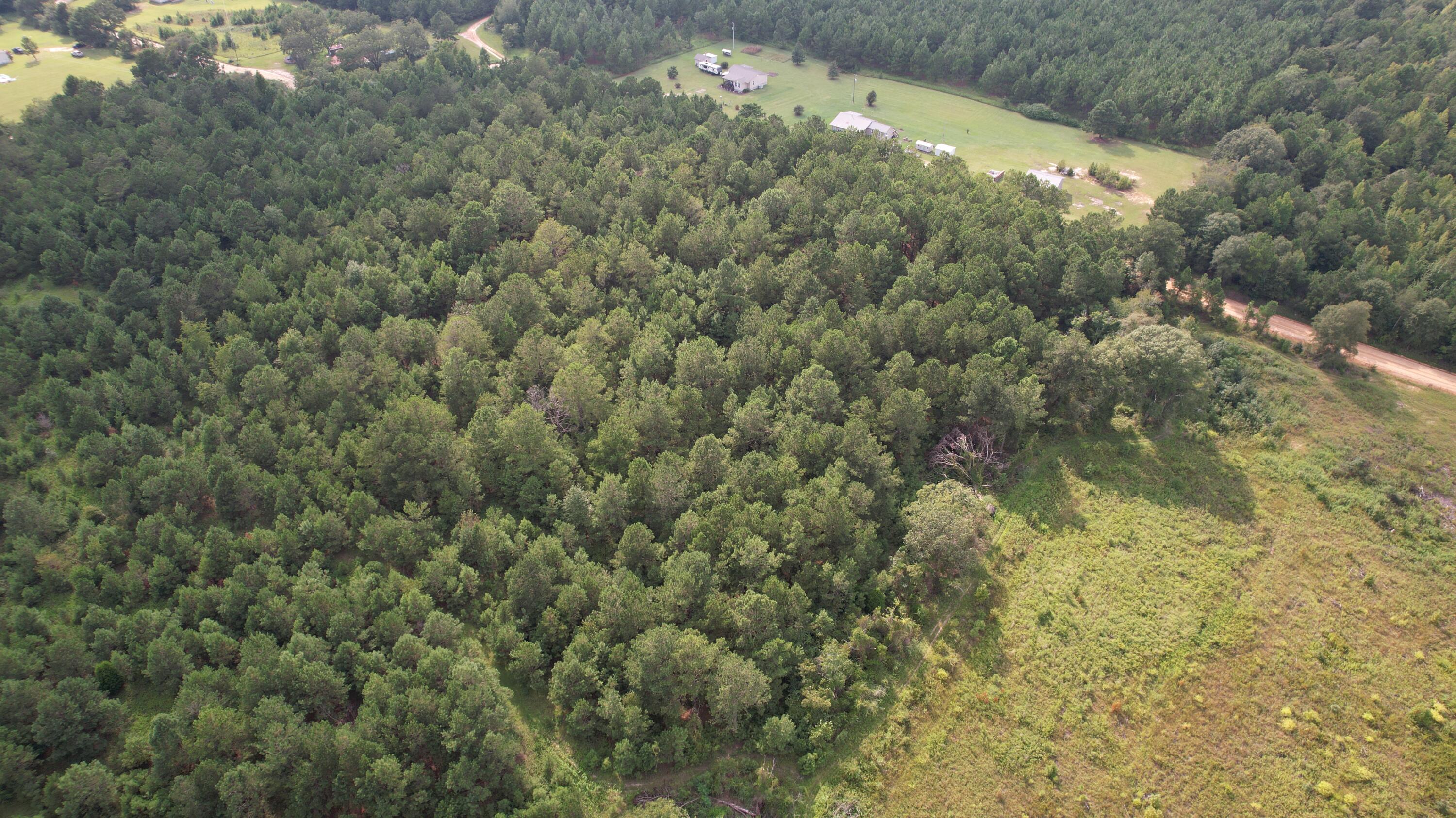 0 Hannah Road Chester, GA 31012 - Photo 30 of 59 DJI_0713