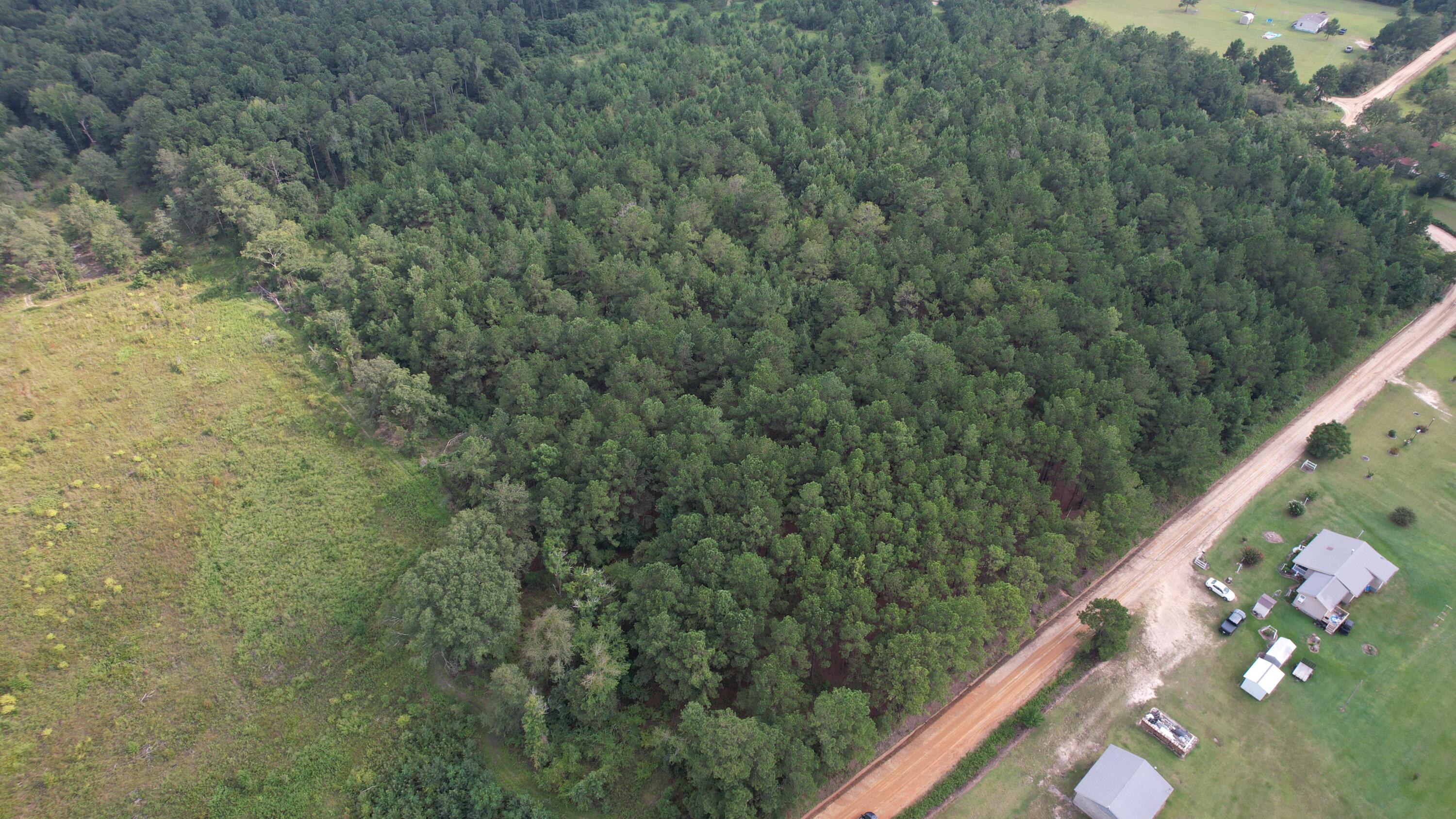 0 Hannah Road Chester, GA 31012 - Photo 32 of 59 DJI_0715