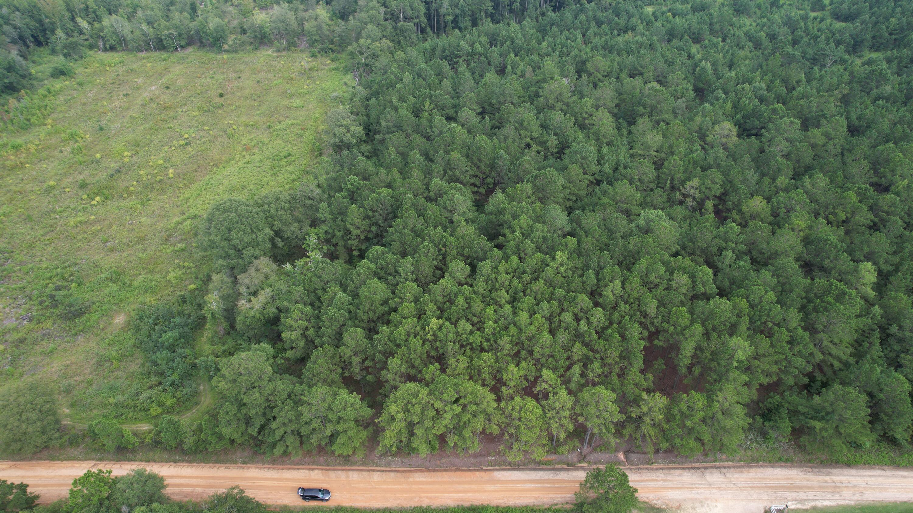 0 Hannah Road Chester, GA 31012 - Photo 33 of 59 DJI_0716