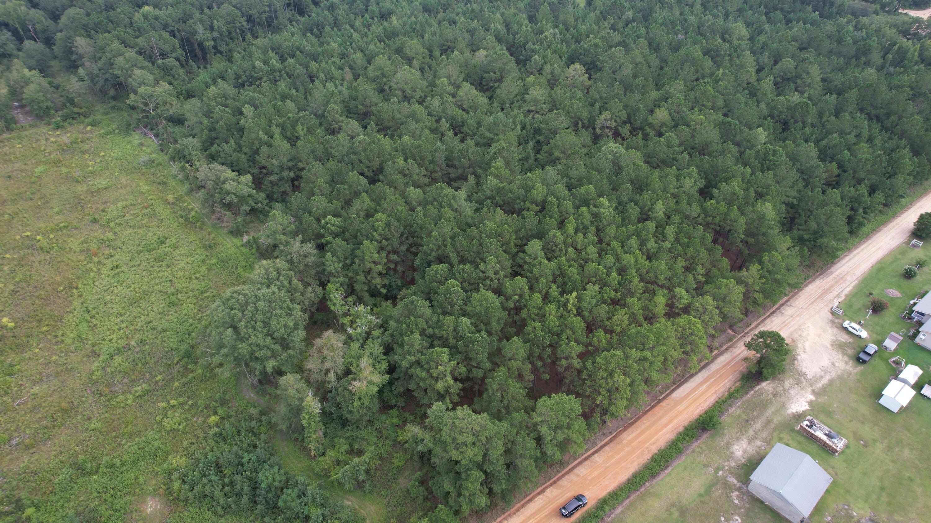 0 Hannah Road Chester, GA 31012 - Photo 34 of 59 DJI_0717