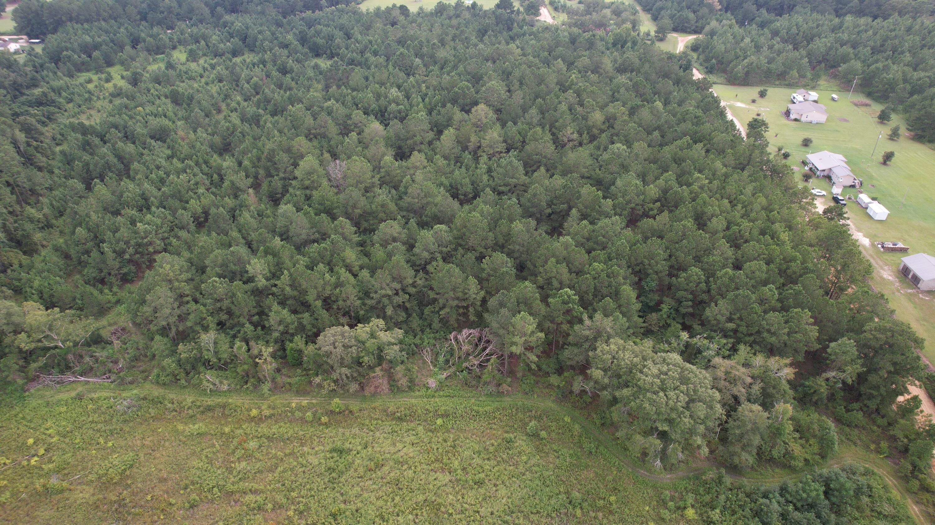 0 Hannah Road Chester, GA 31012 - Photo 35 of 59 DJI_0718