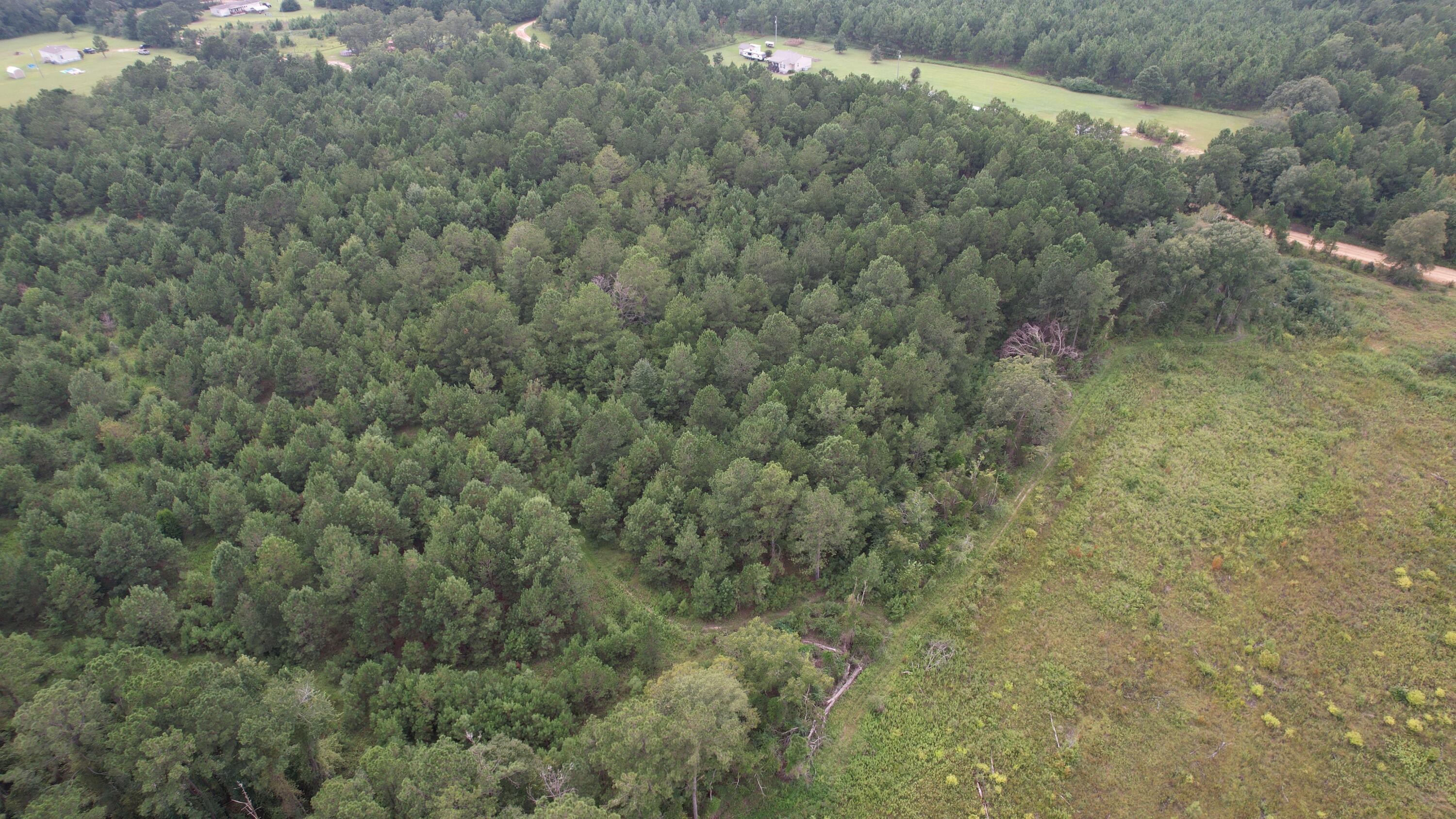0 Hannah Road Chester, GA 31012 - Photo 36 of 59 DJI_0719