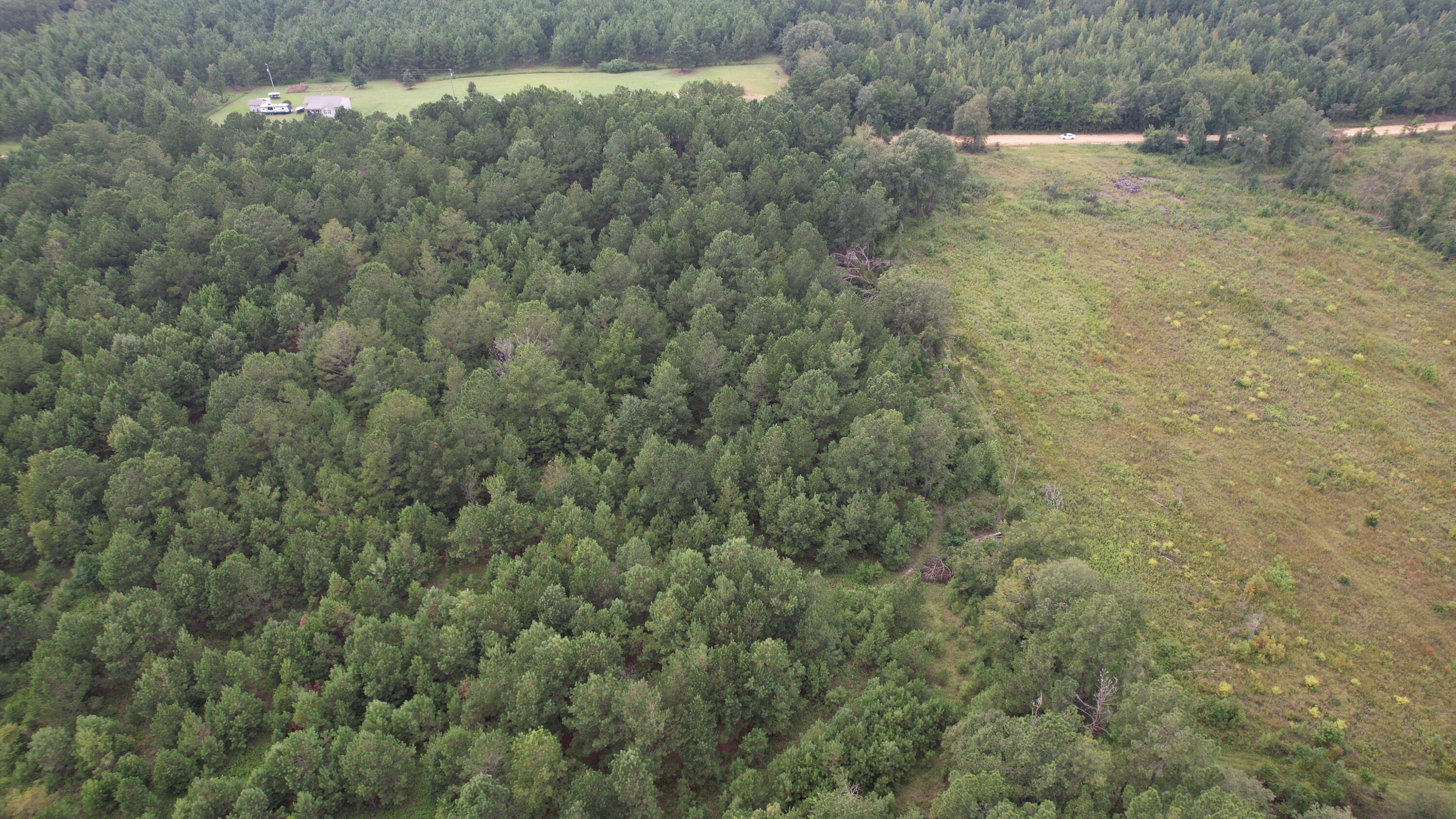 0 Hannah Road Chester, GA 31012 - Photo 37 of 59 DJI_0720