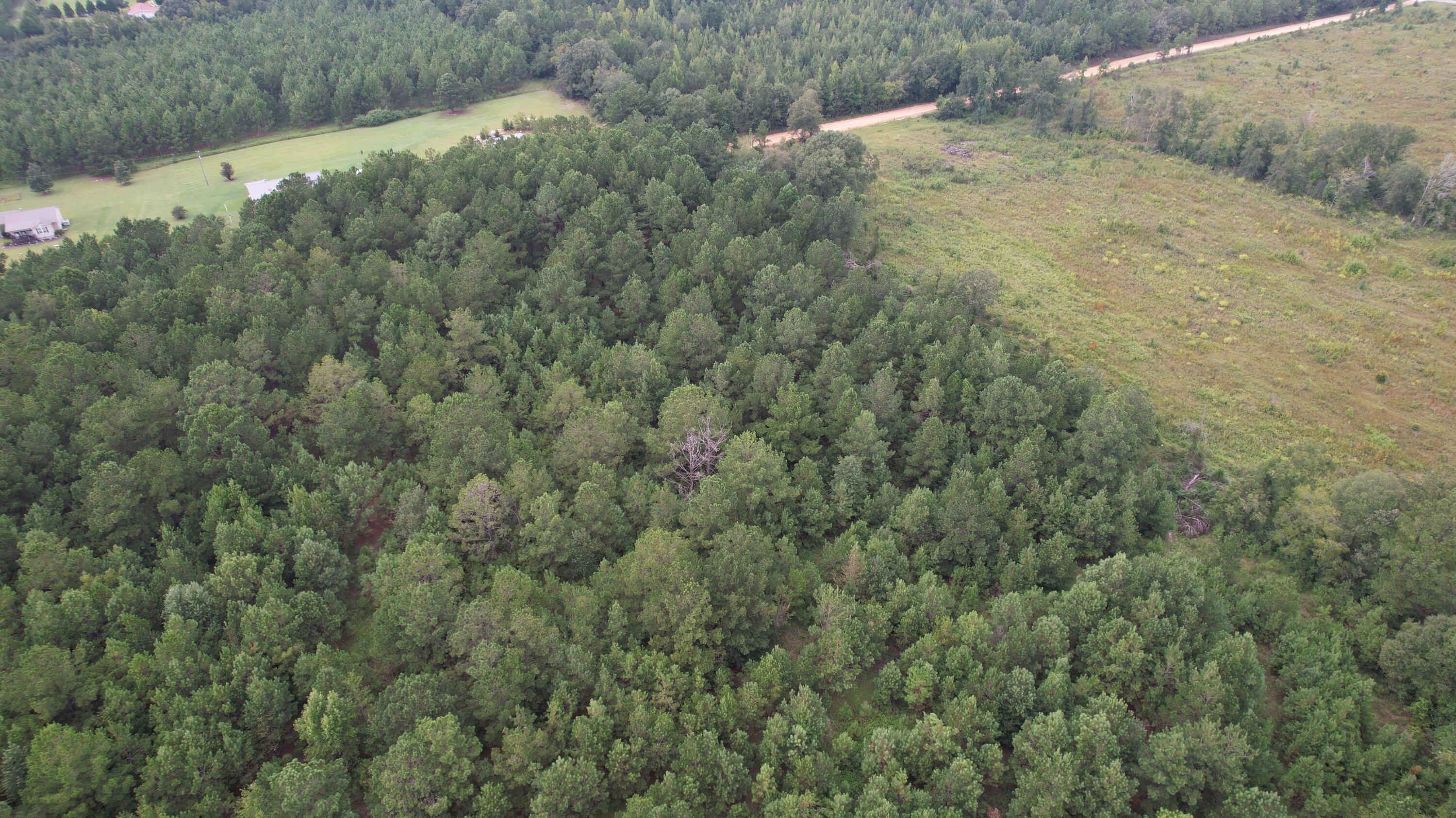 0 Hannah Road Chester, GA 31012 - Photo 38 of 59 DJI_0721