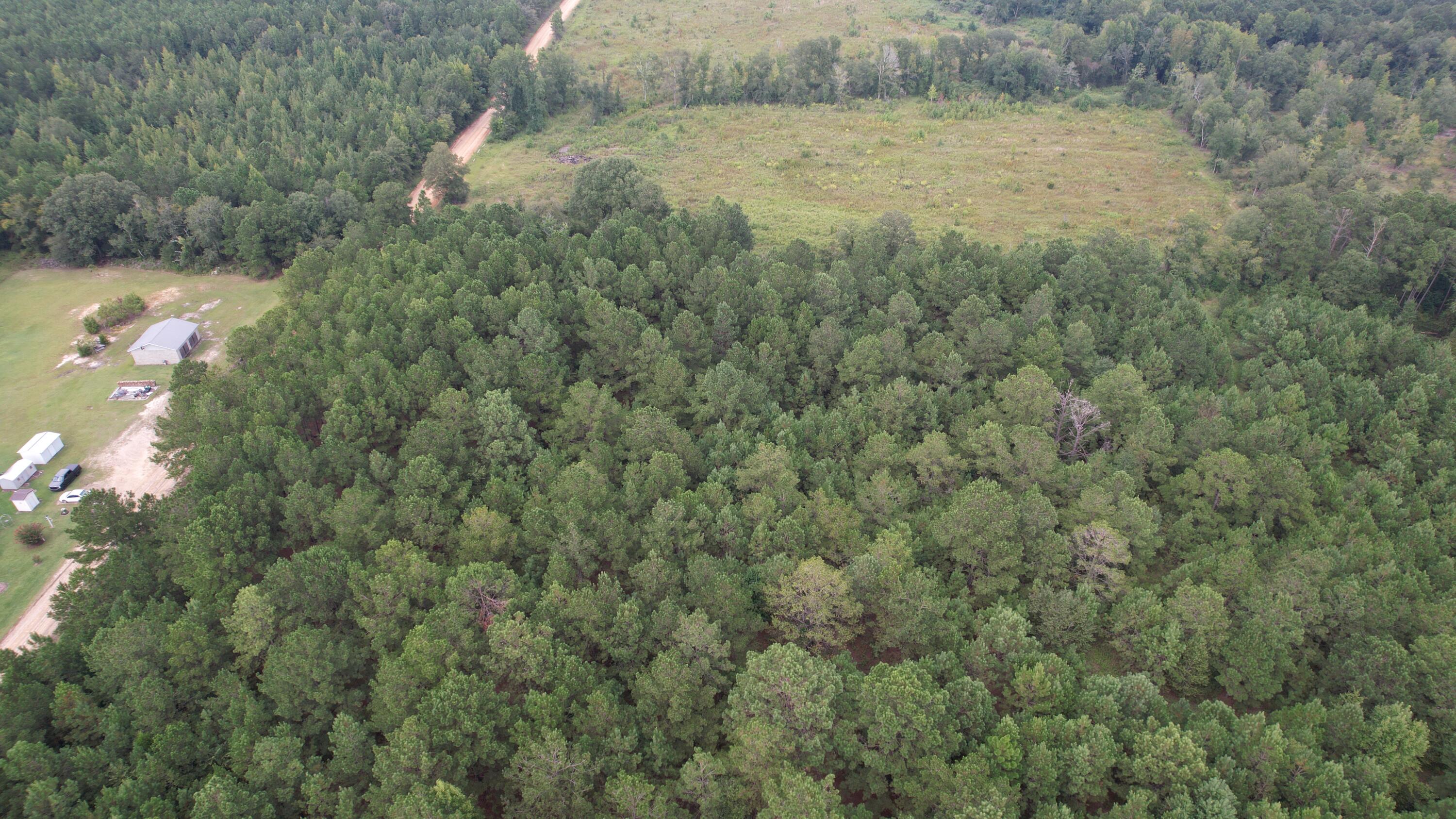 0 Hannah Road Chester, GA 31012 - Photo 39 of 59 DJI_0722