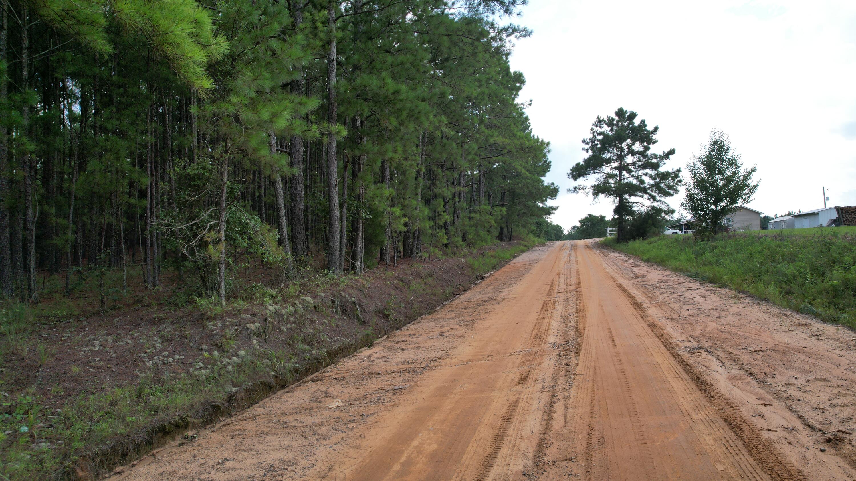0 Hannah Road Chester, GA 31012 - Photo 4 of 59 DJI_0734