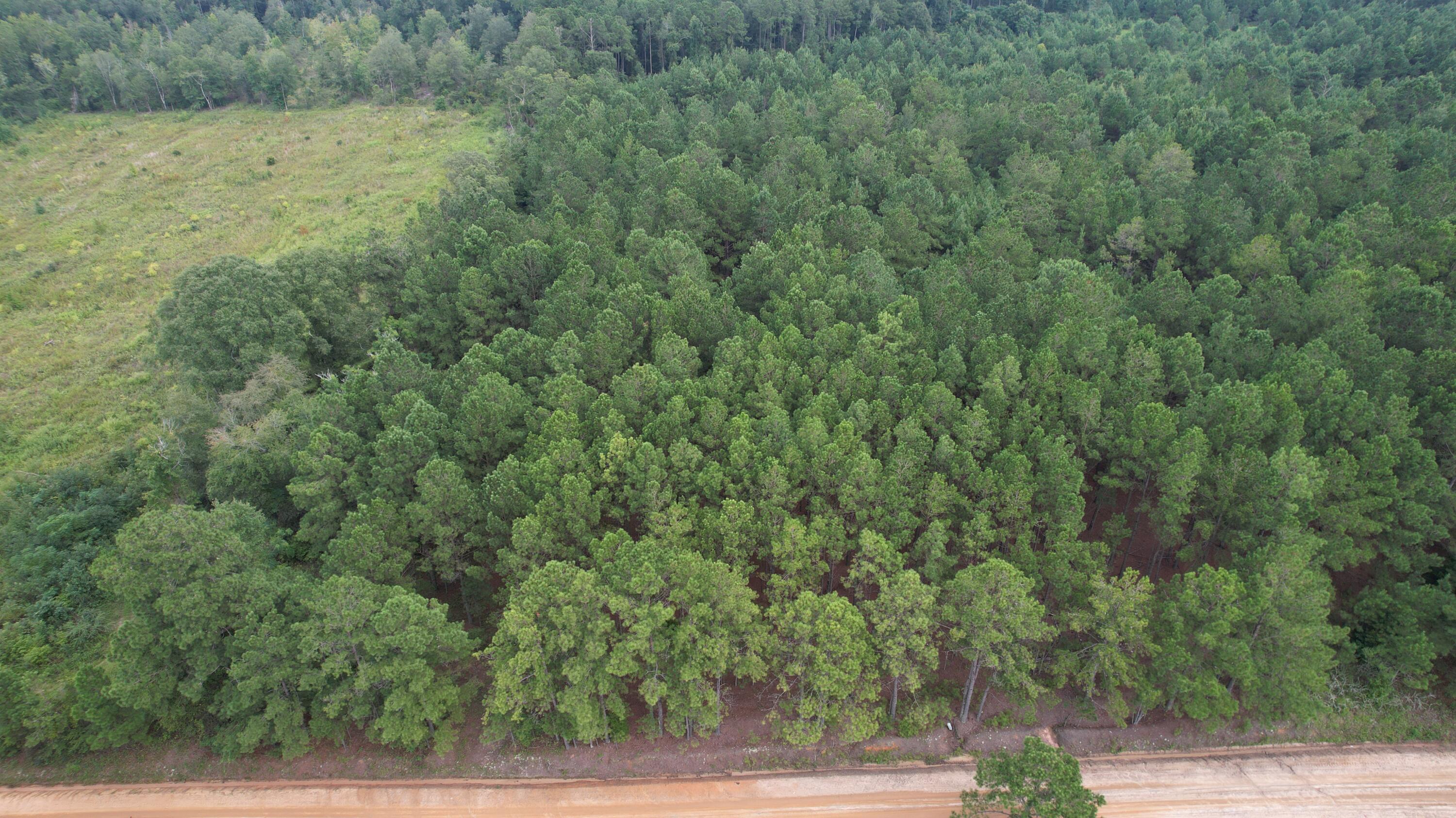 0 Hannah Road Chester, GA 31012 - Photo 41 of 59 DJI_0724