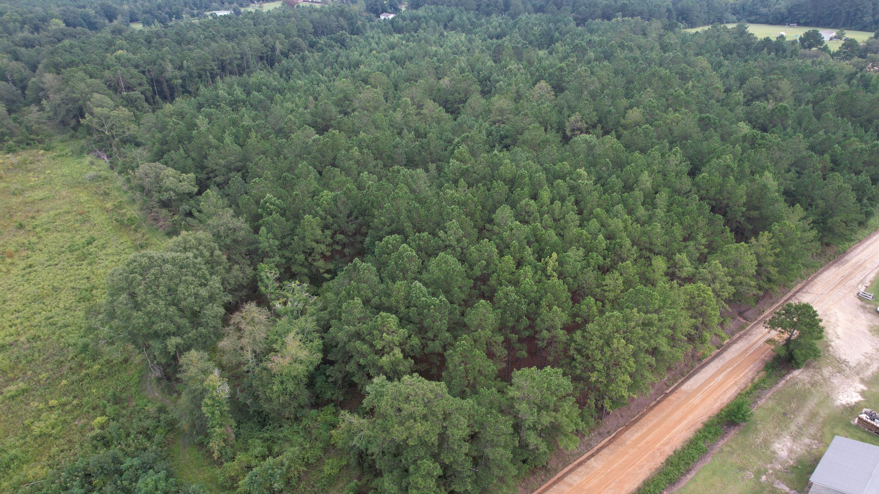 0 Hannah Road Chester, GA 31012 - Photo 42 of 59 DJI_0725