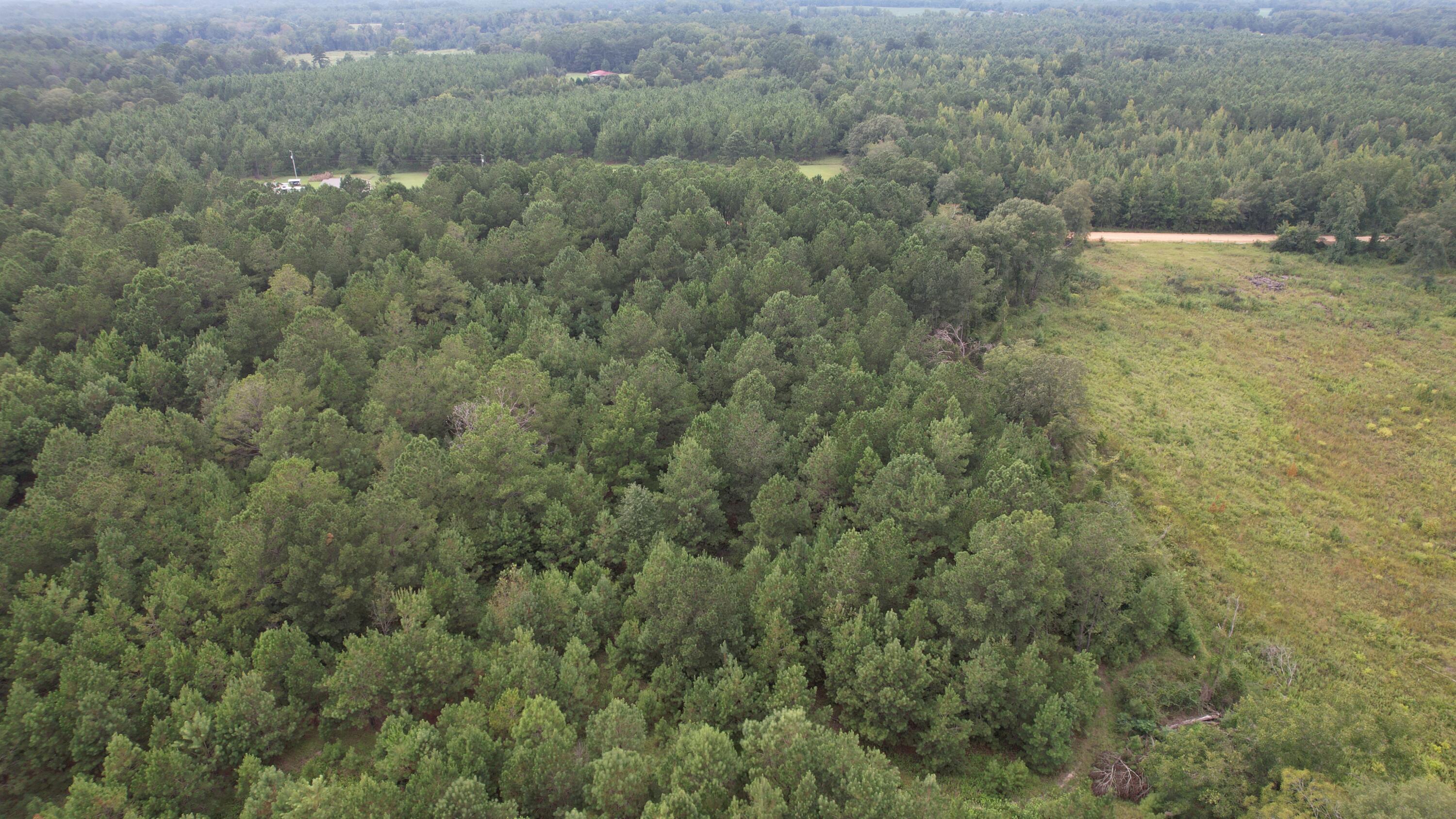 0 Hannah Road Chester, GA 31012 - Photo 45 of 59 DJI_0728