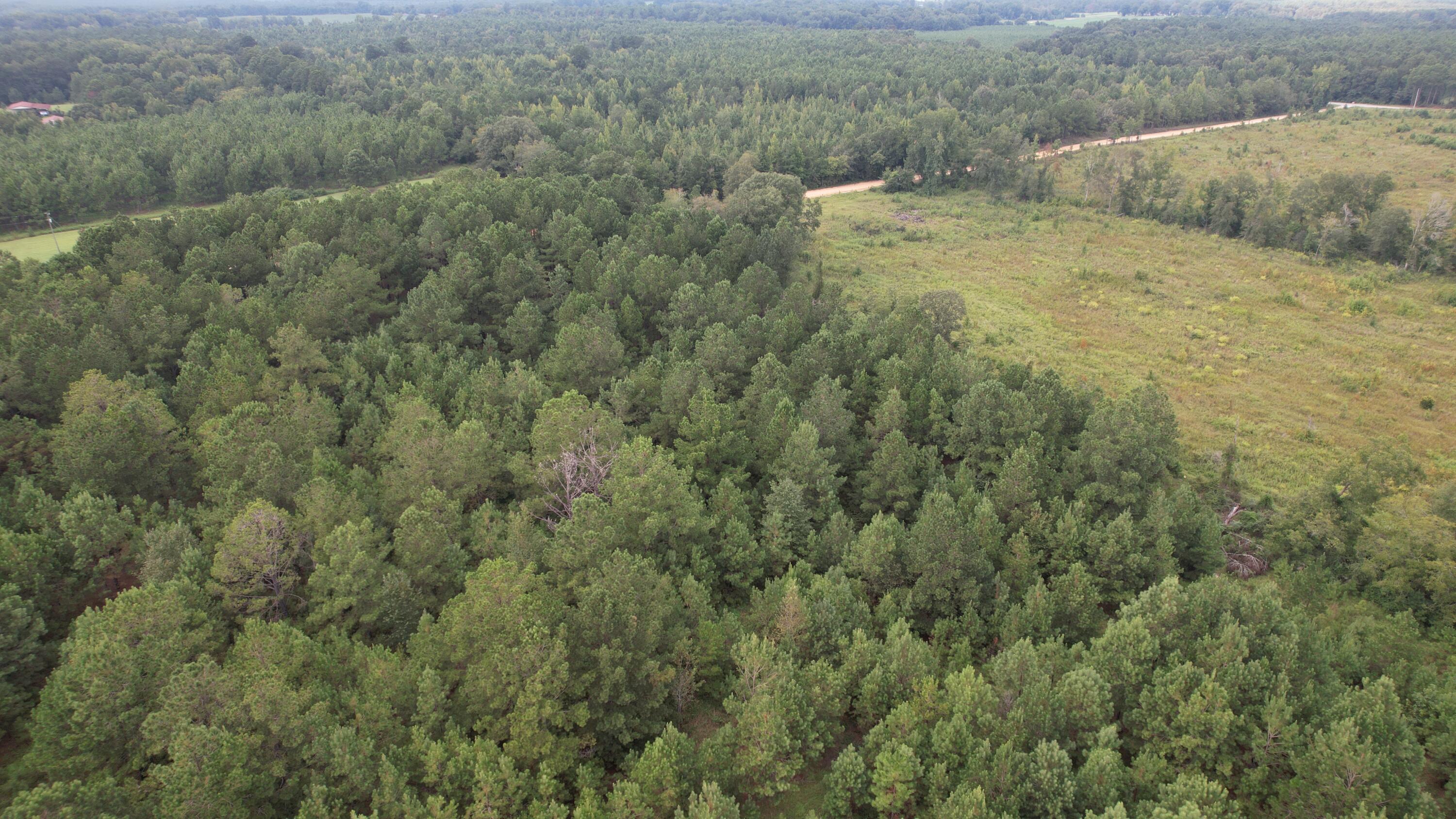 0 Hannah Road Chester, GA 31012 - Photo 46 of 59 DJI_0729