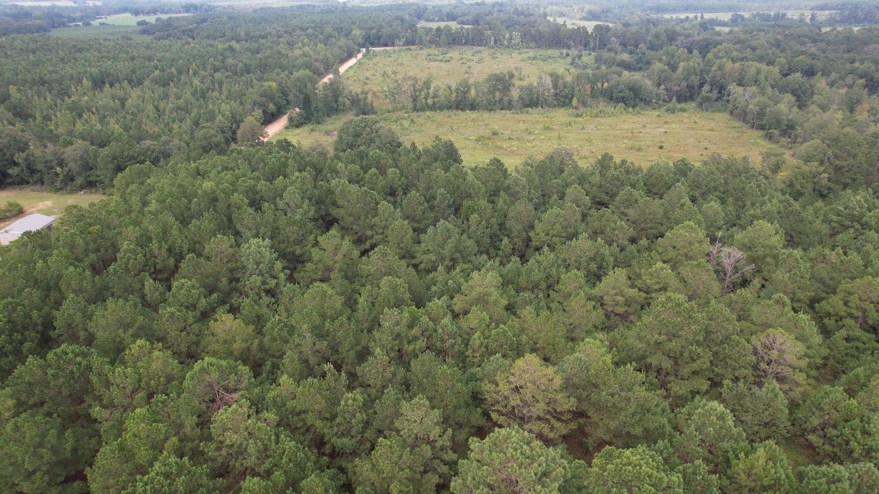 0 Hannah Road Chester, GA 31012 - Photo 47 of 59 DJI_0730