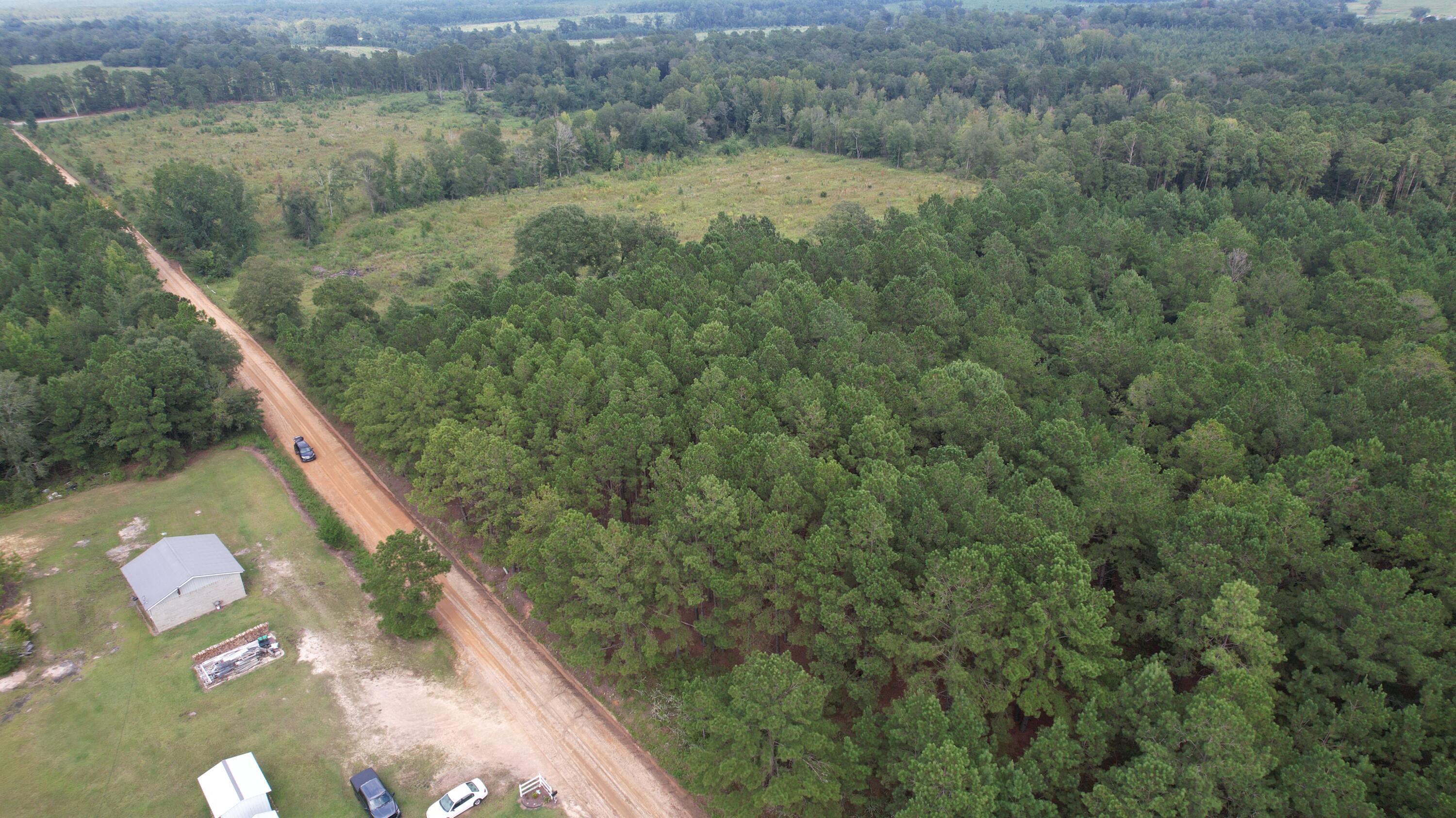 0 Hannah Road Chester, GA 31012 - Photo 48 of 59 DJI_0731