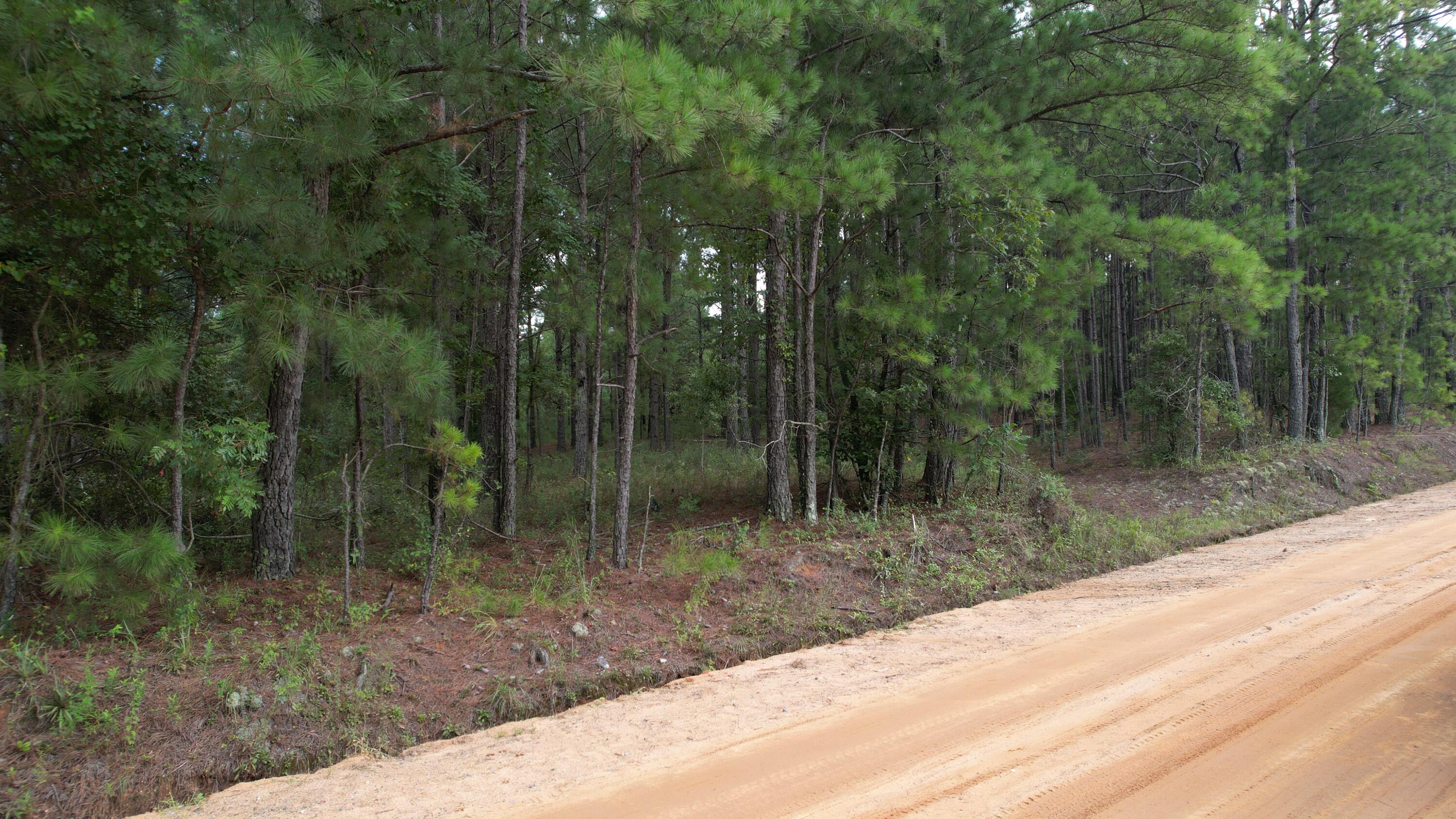 0 Hannah Road Chester, GA 31012 - Photo 49 of 59 DJI_0733