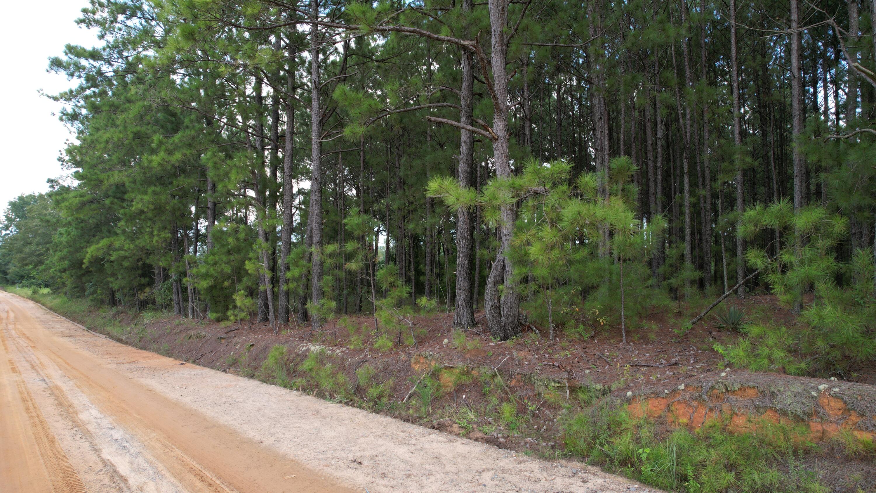 0 Hannah Road Chester, GA 31012 - Photo 50 of 59 DJI_0737