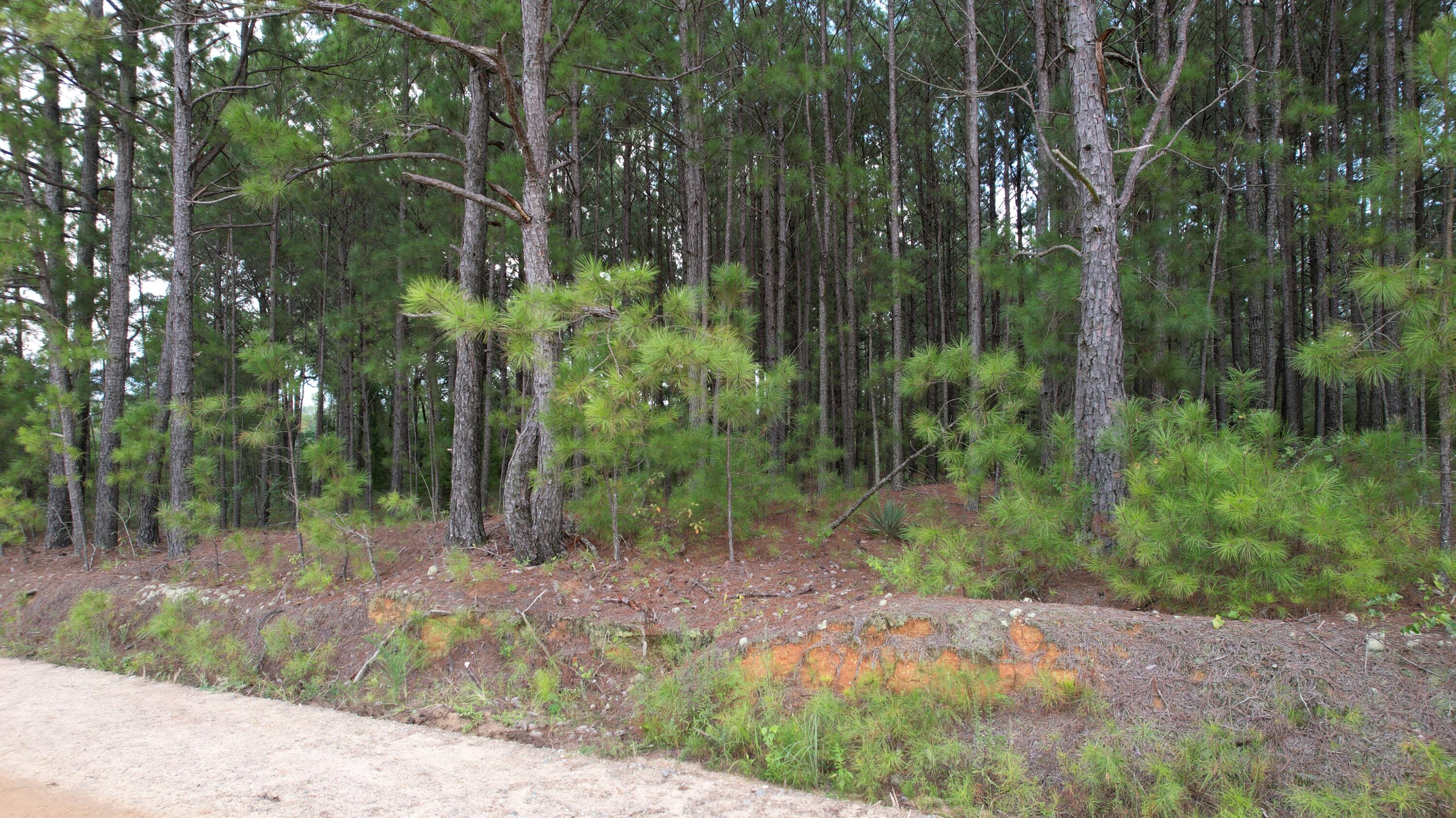 0 Hannah Road Chester, GA 31012 - Photo 5 of 59 DJI_0735
