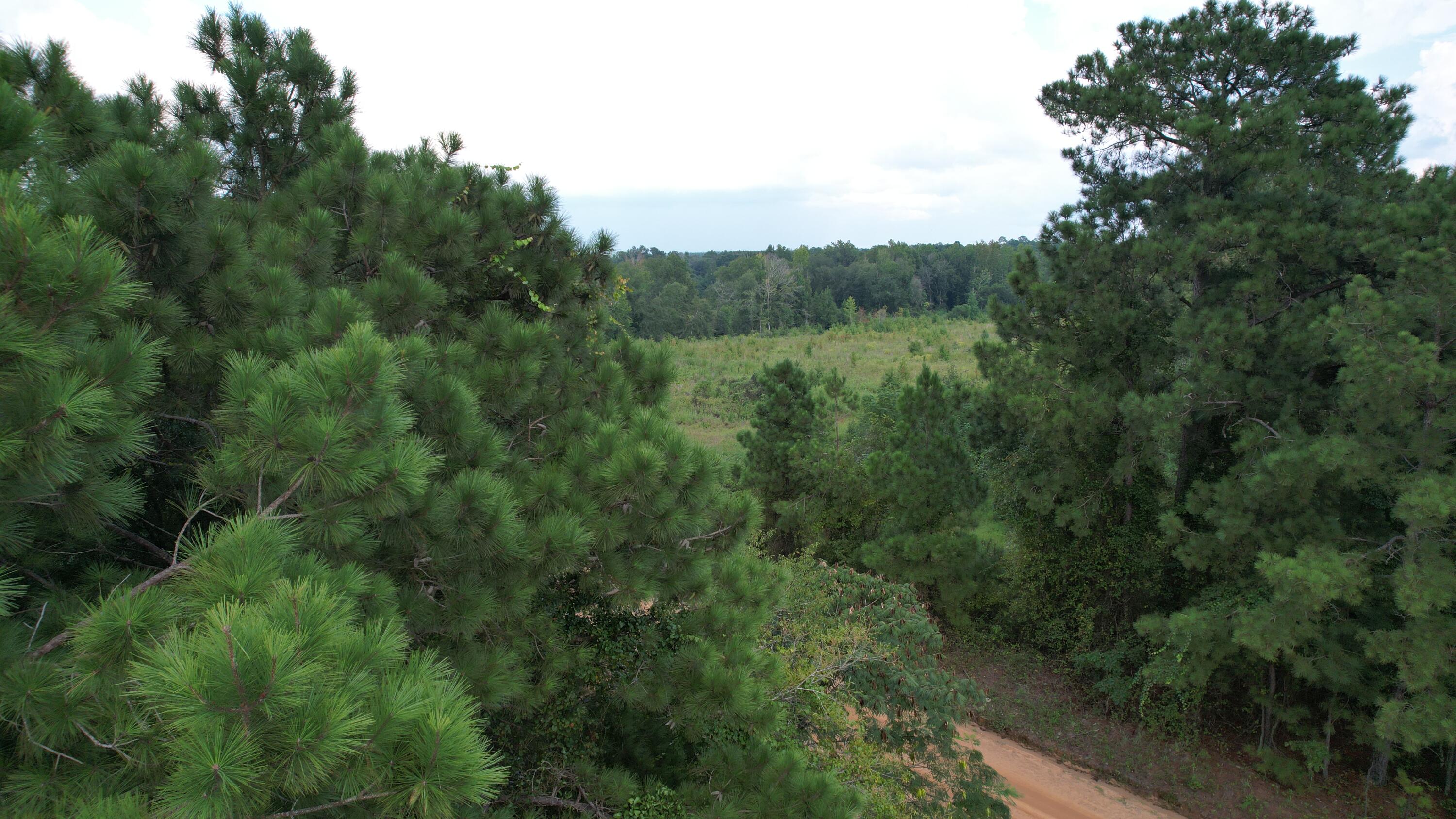 0 Hannah Road Chester, GA 31012 - Photo 53 of 59 DJI_0743