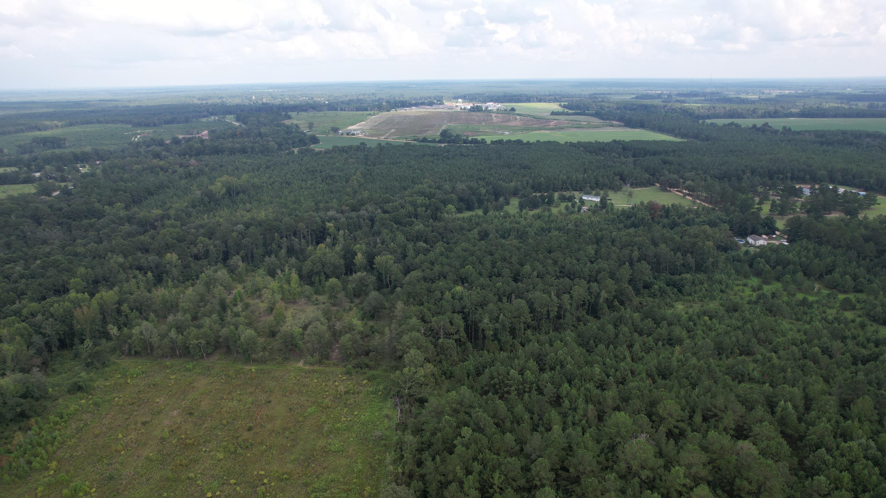 0 Hannah Road Chester, GA 31012 - Photo 55 of 59 DJI_0745